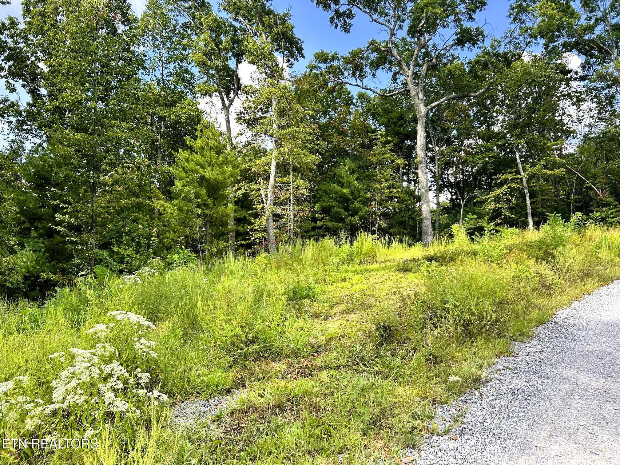 125 chestnut 3 - 107/125 Chestnut Mountain Rd, Reliance, TN 37369