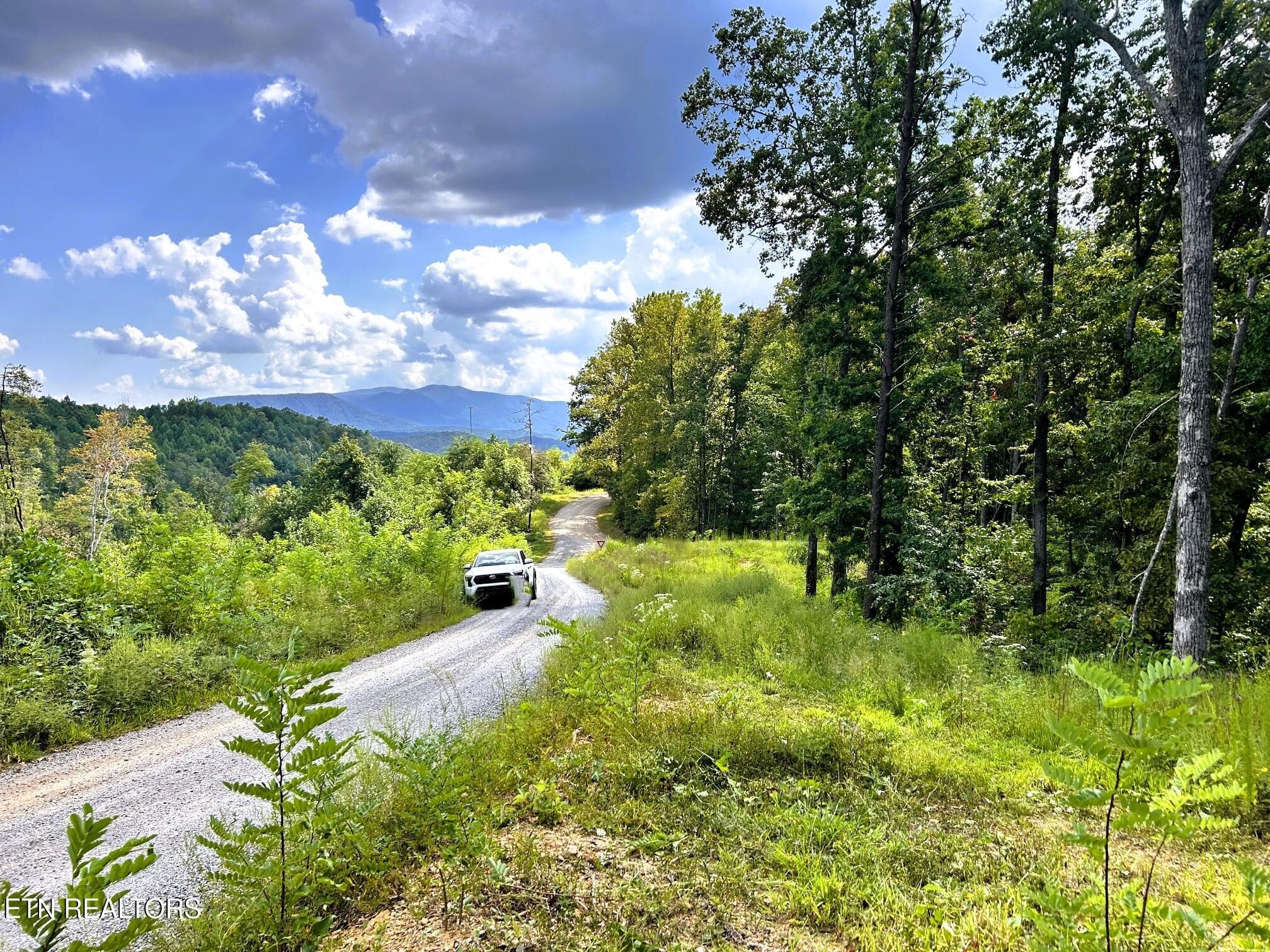 125 chestnut main - 107/125 Chestnut Mountain Rd, Reliance, TN 37369