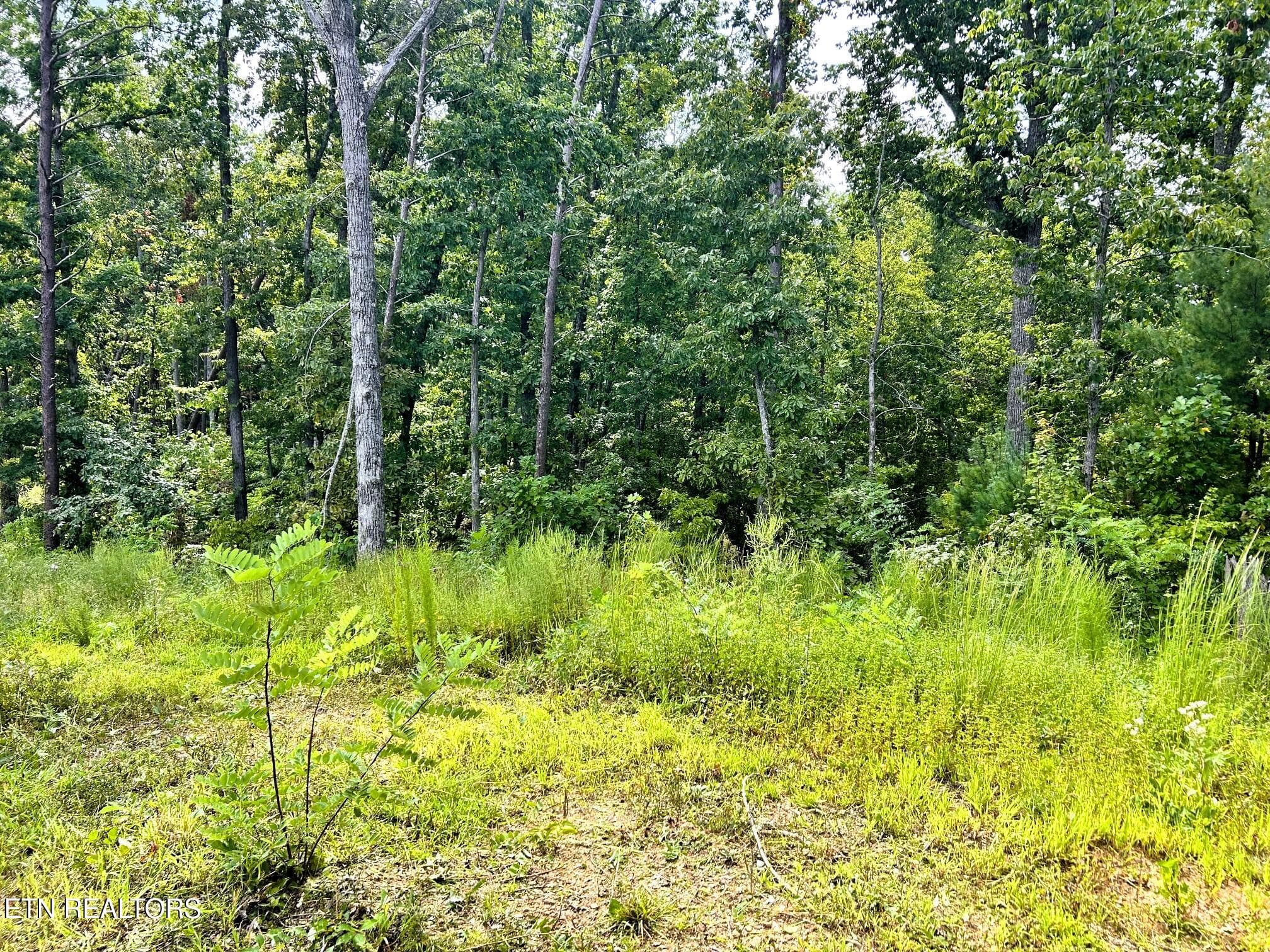 125 chestnut 6 - 107/125 Chestnut Mountain Rd, Reliance, TN 37369