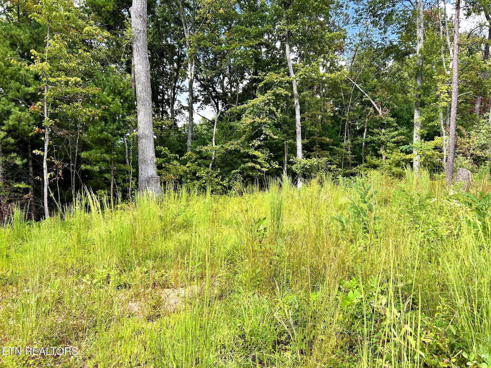 125 chestnut 8 - 107/125 Chestnut Mountain Rd, Reliance, TN 37369