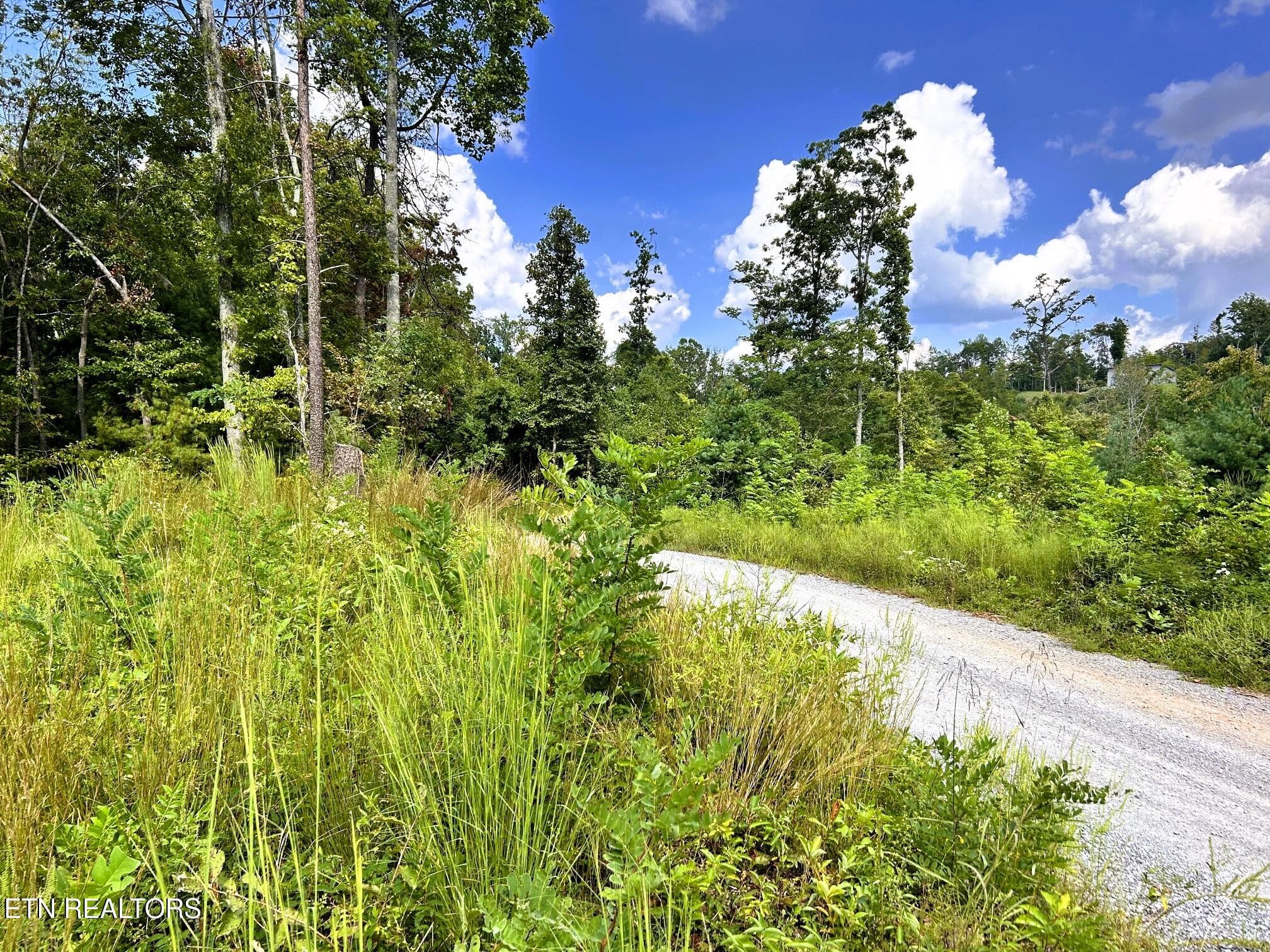 125 chestnut 9 - 107/125 Chestnut Mountain Rd, Reliance, TN 37369