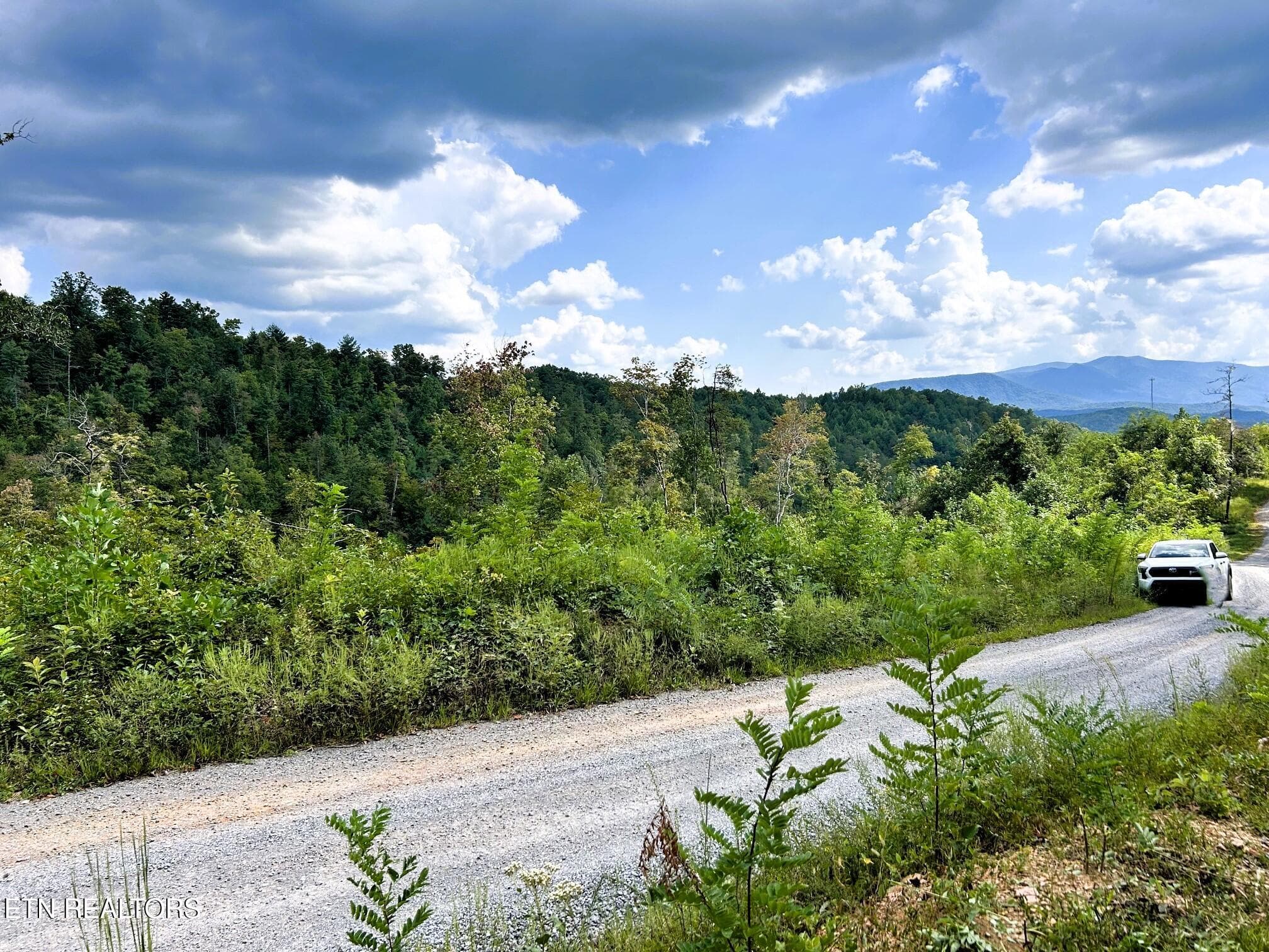 125 Chestnut 1 - Copy - 107/125 Chestnut Mountain Rd, Reliance, TN 37369