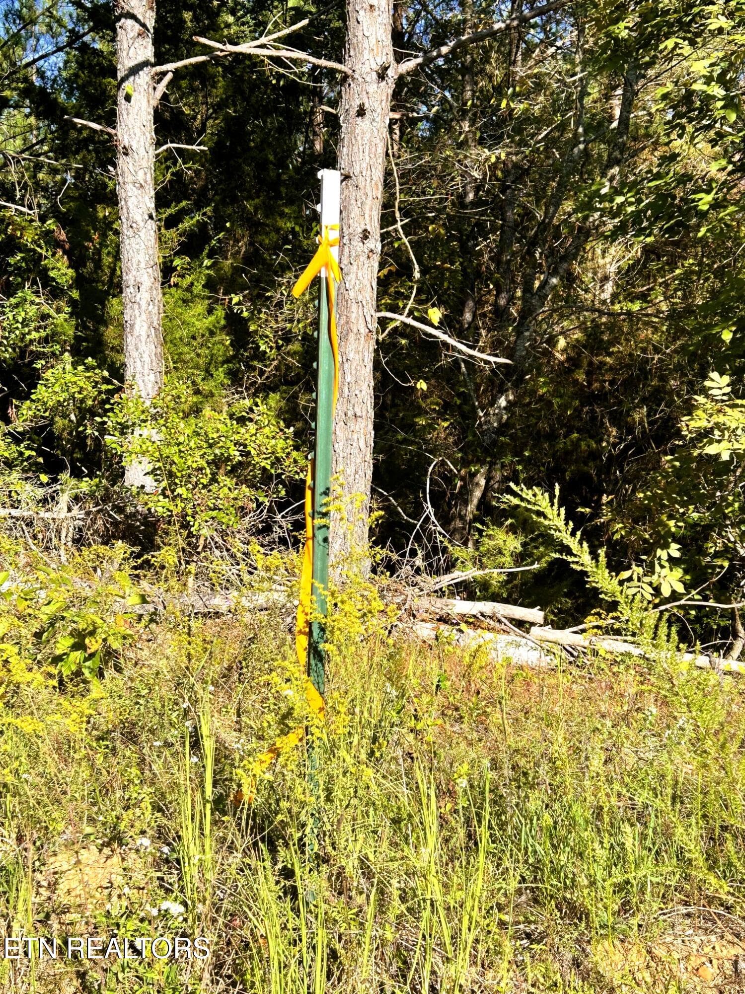 corners staked - 47 acres Charles Rd, Decatur, TN 37322