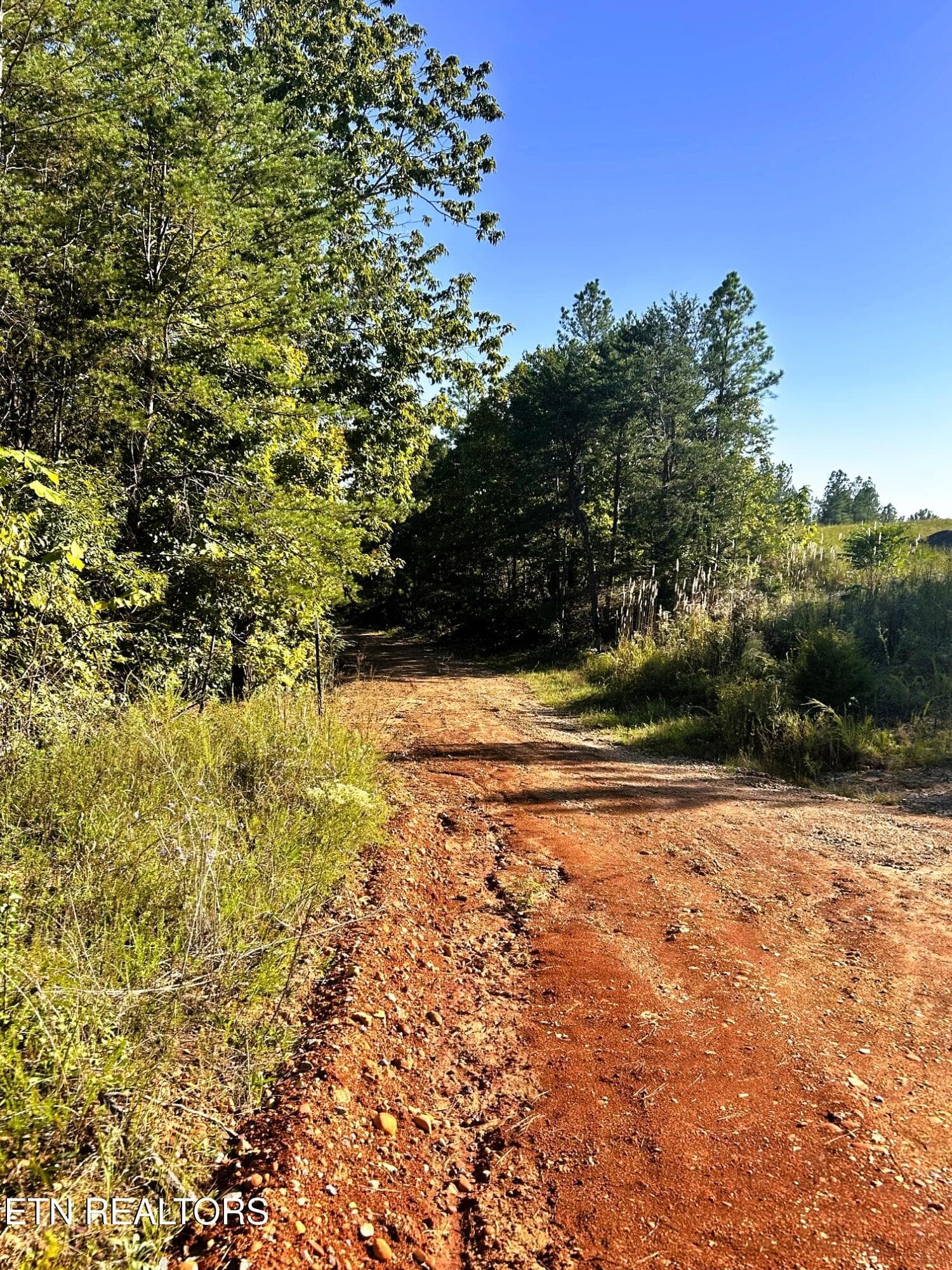 15C 2 2 - 47 acres Charles Rd, Decatur, TN 37322