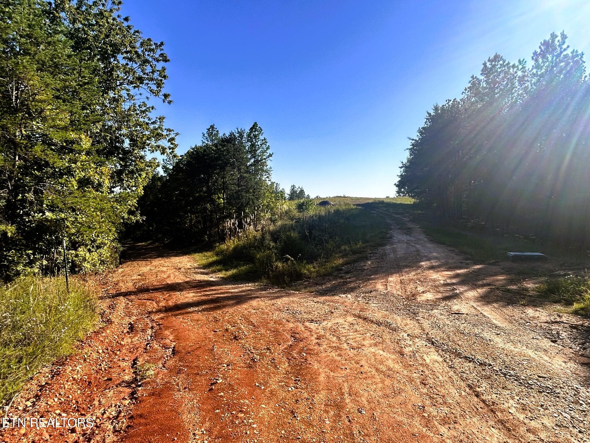 15C 2 3 - 47 acres Charles Rd, Decatur, TN 37322