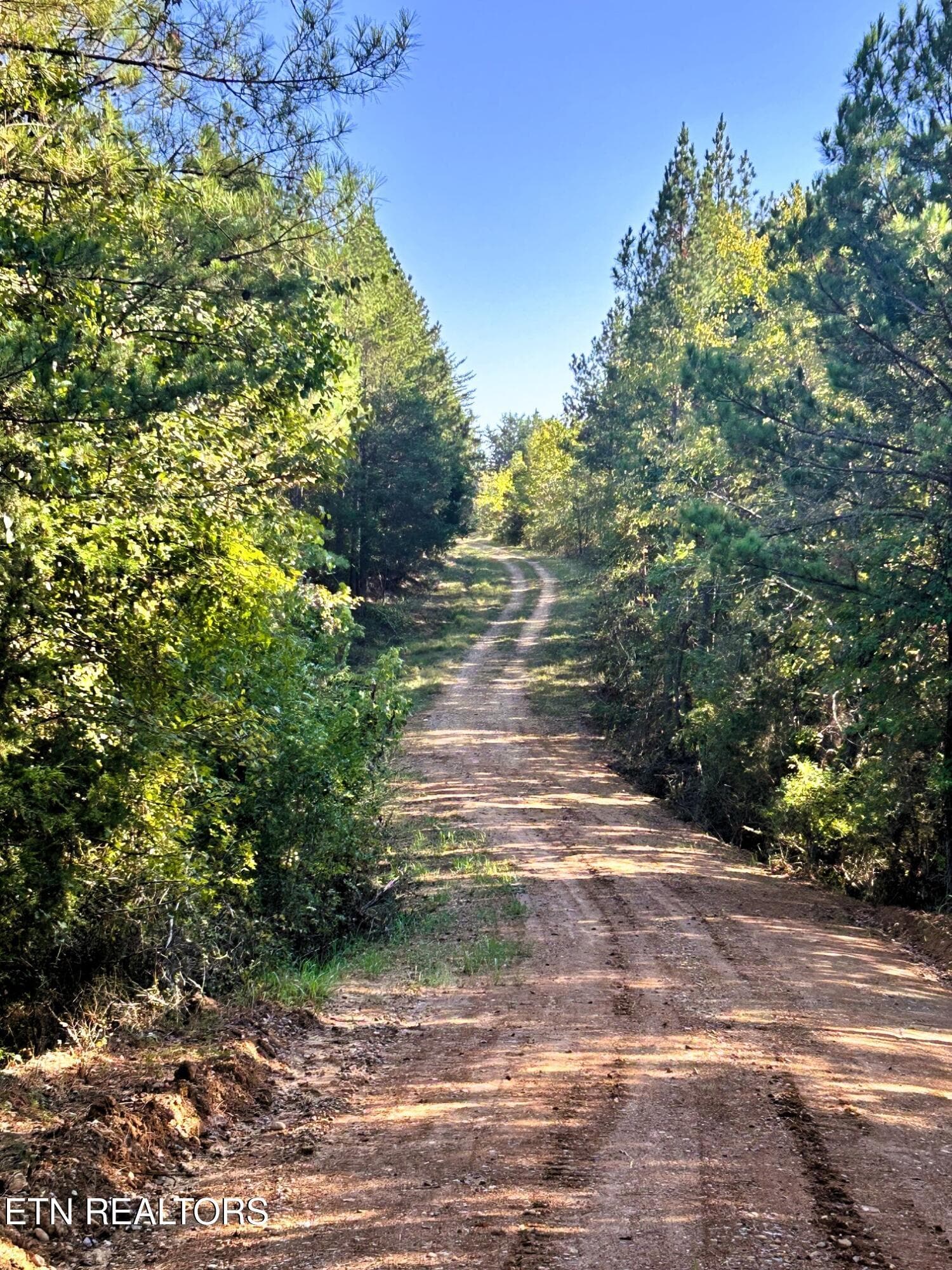 15C 2 5 - 47 acres Charles Rd, Decatur, TN 37322