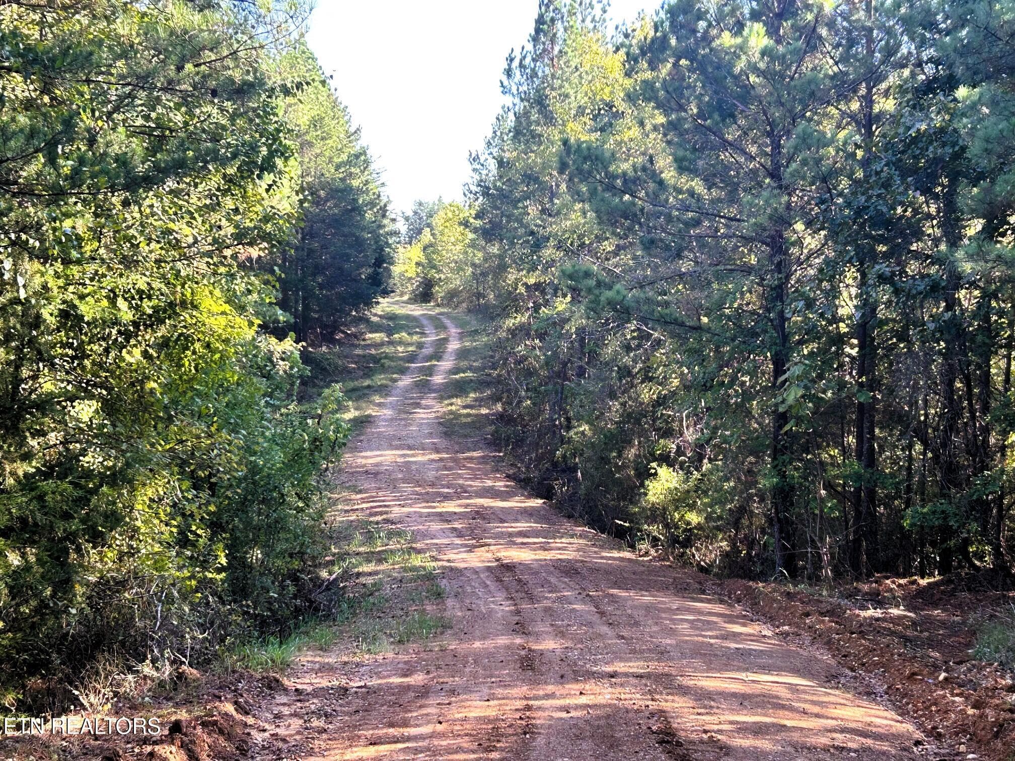 15C 2 6 - 47 acres Charles Rd, Decatur, TN 37322