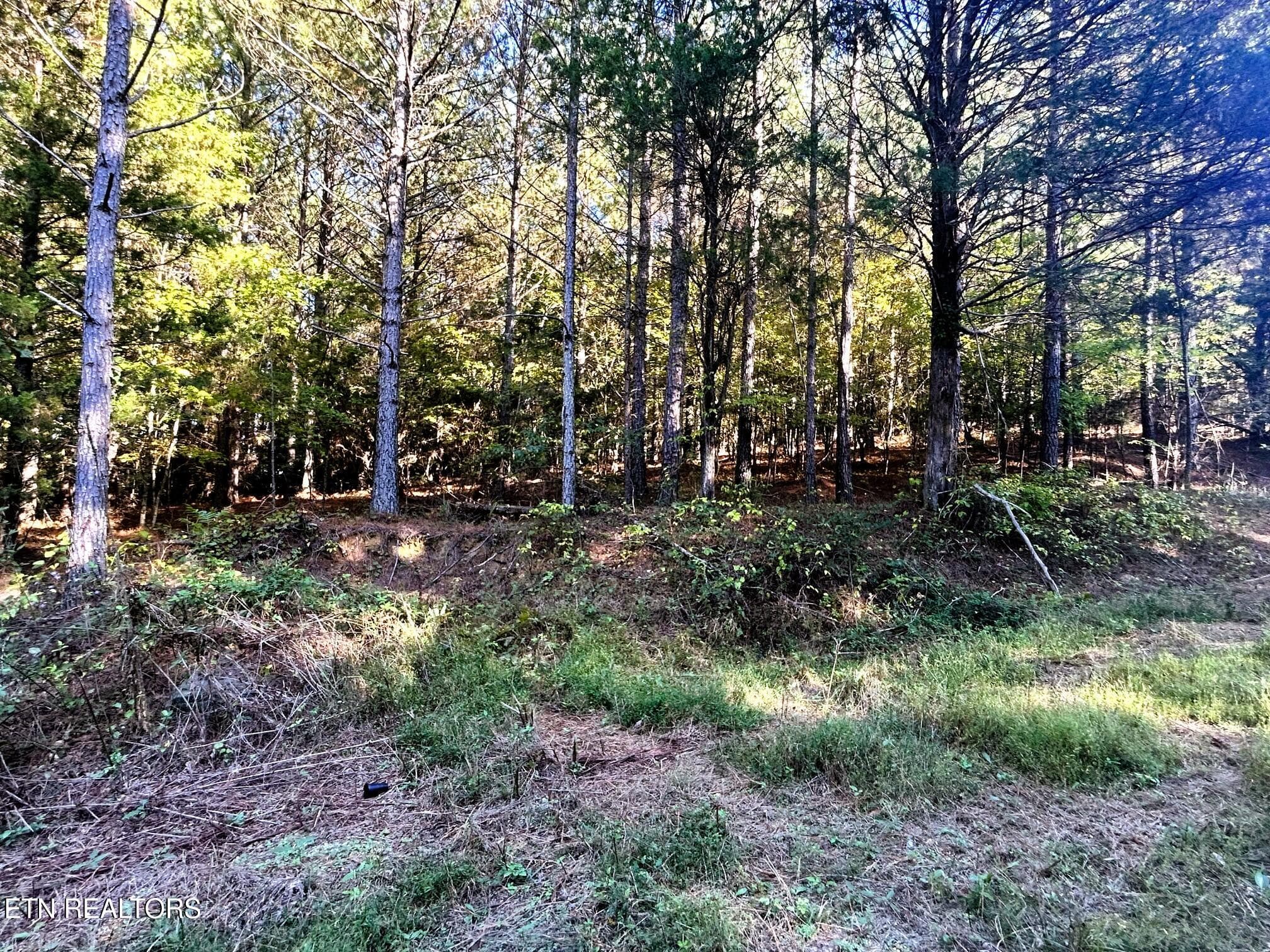 15C 2 7 - 47 acres Charles Rd, Decatur, TN 37322