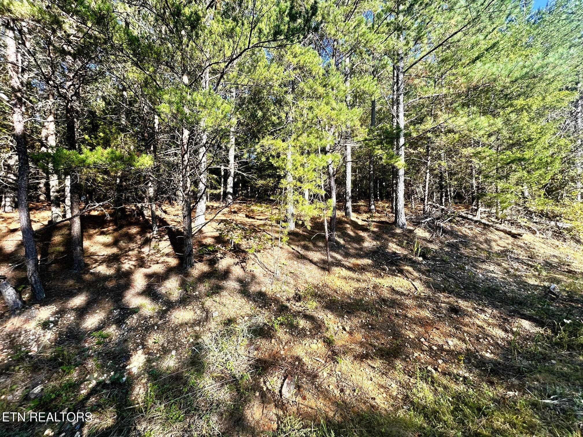 15C 2 9 - 47 acres Charles Rd, Decatur, TN 37322