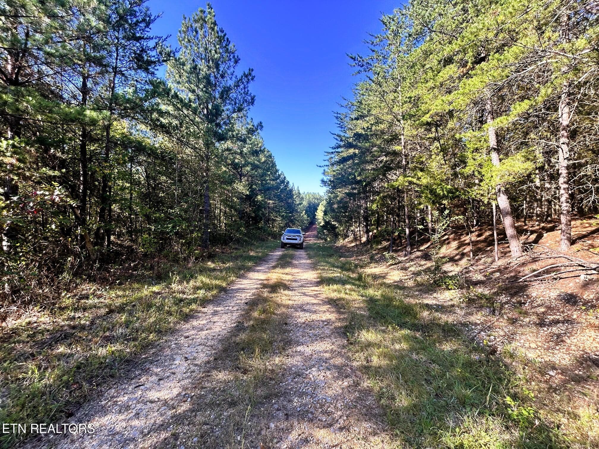 15C 2 10 - 47 acres Charles Rd, Decatur, TN 37322