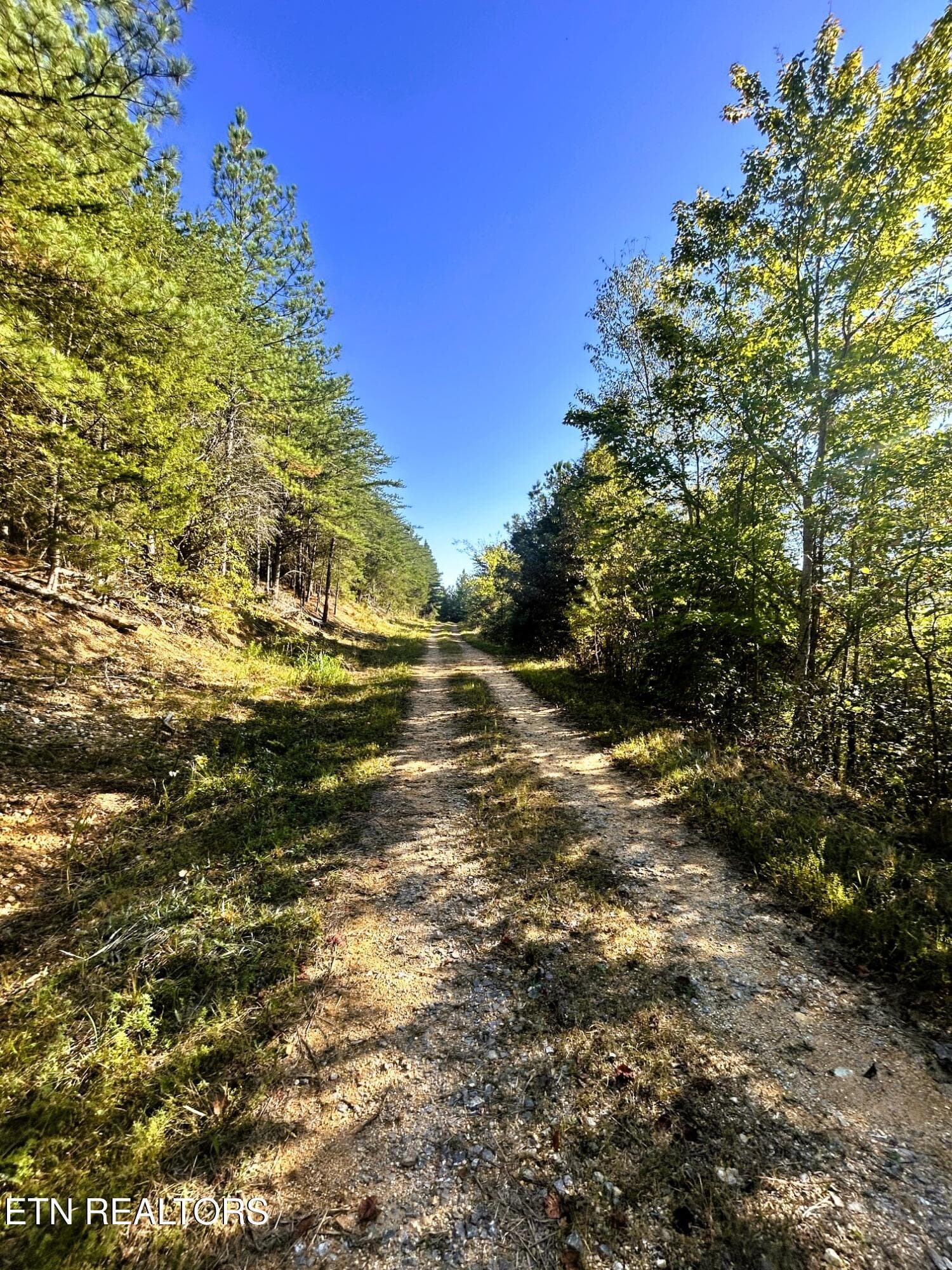 15C 2 11 - 47 acres Charles Rd, Decatur, TN 37322
