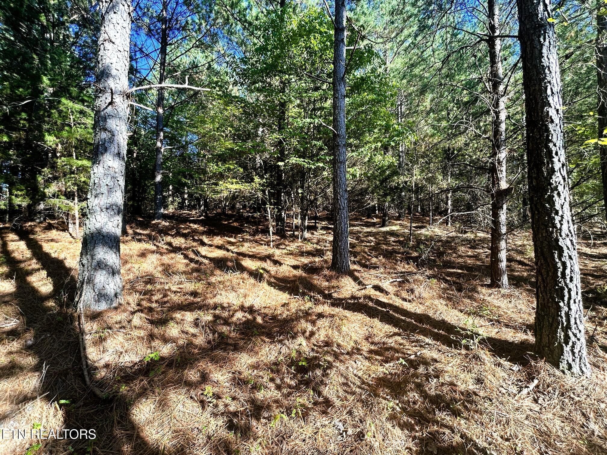 15C 2 12 - 47 acres Charles Rd, Decatur, TN 37322