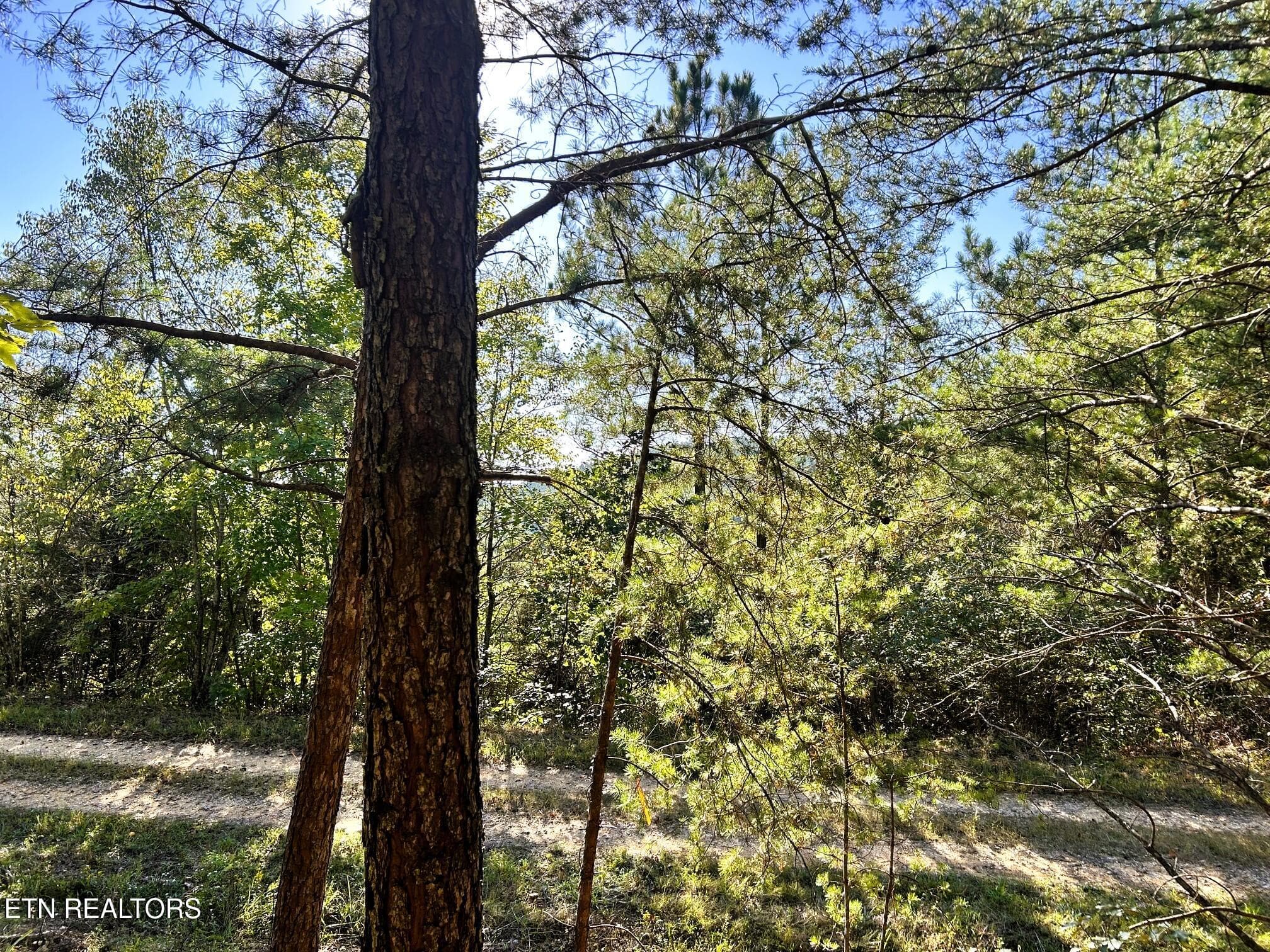 15C 2 13 - 47 acres Charles Rd, Decatur, TN 37322