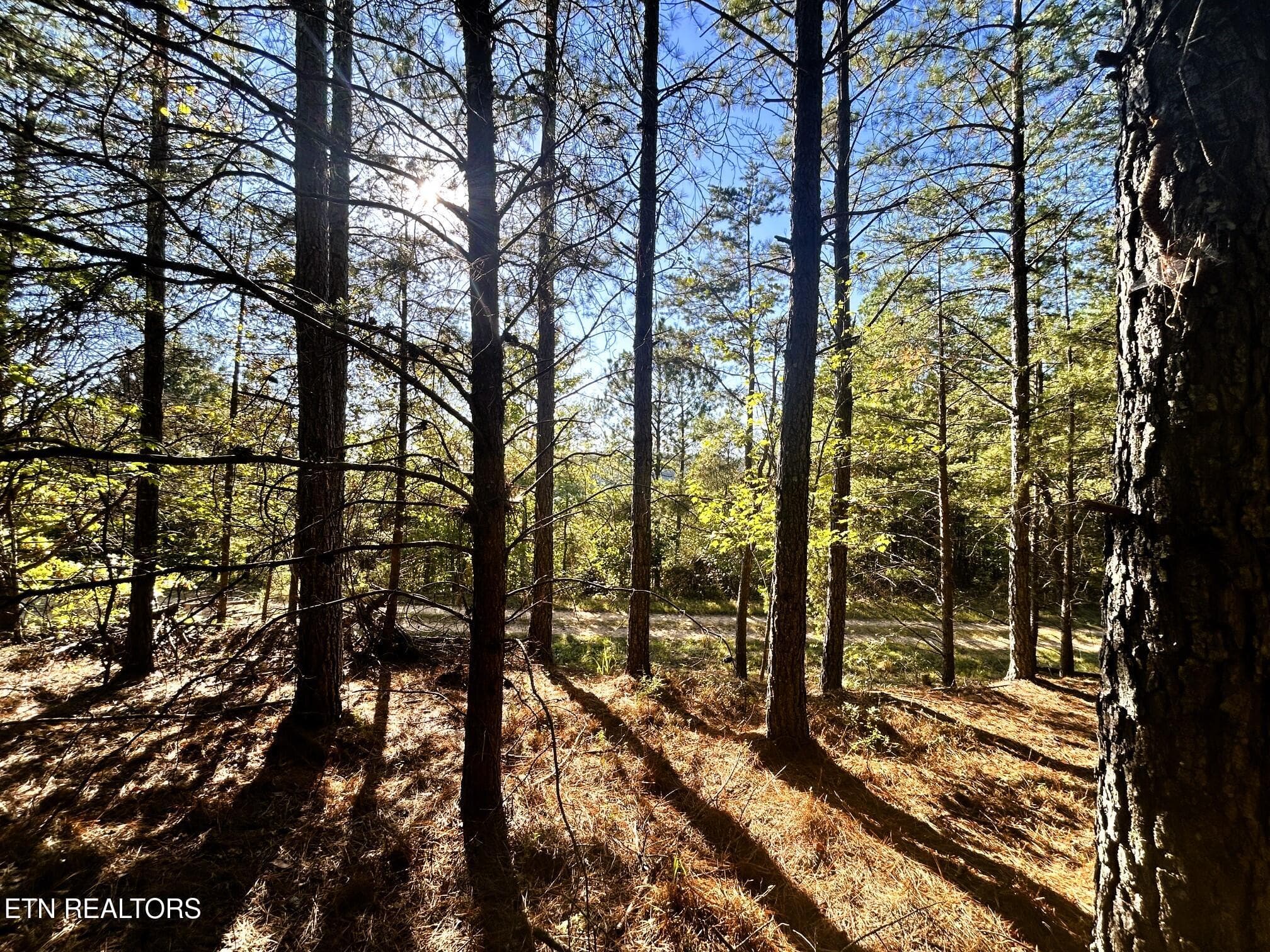 15C 2 14 - 47 acres Charles Rd, Decatur, TN 37322