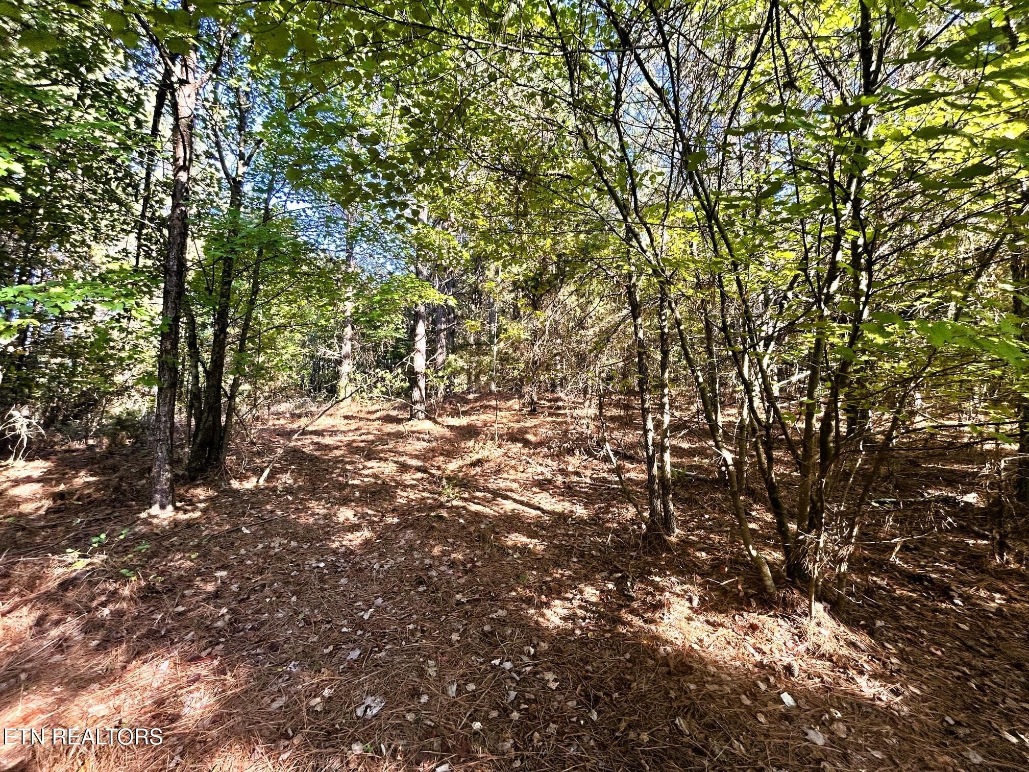 15C 2 15 - 47 acres Charles Rd, Decatur, TN 37322