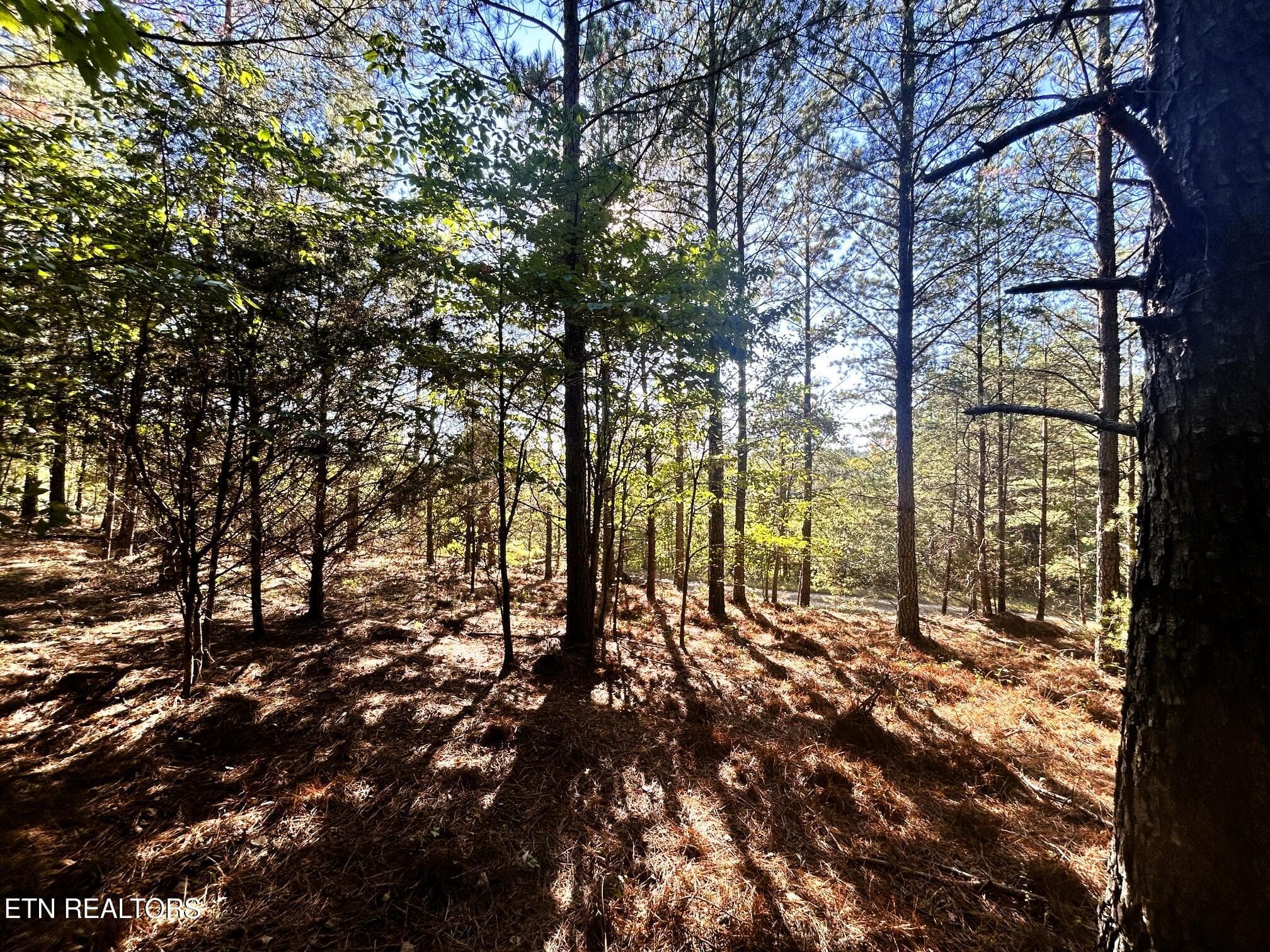15C 2 16 - 47 acres Charles Rd, Decatur, TN 37322