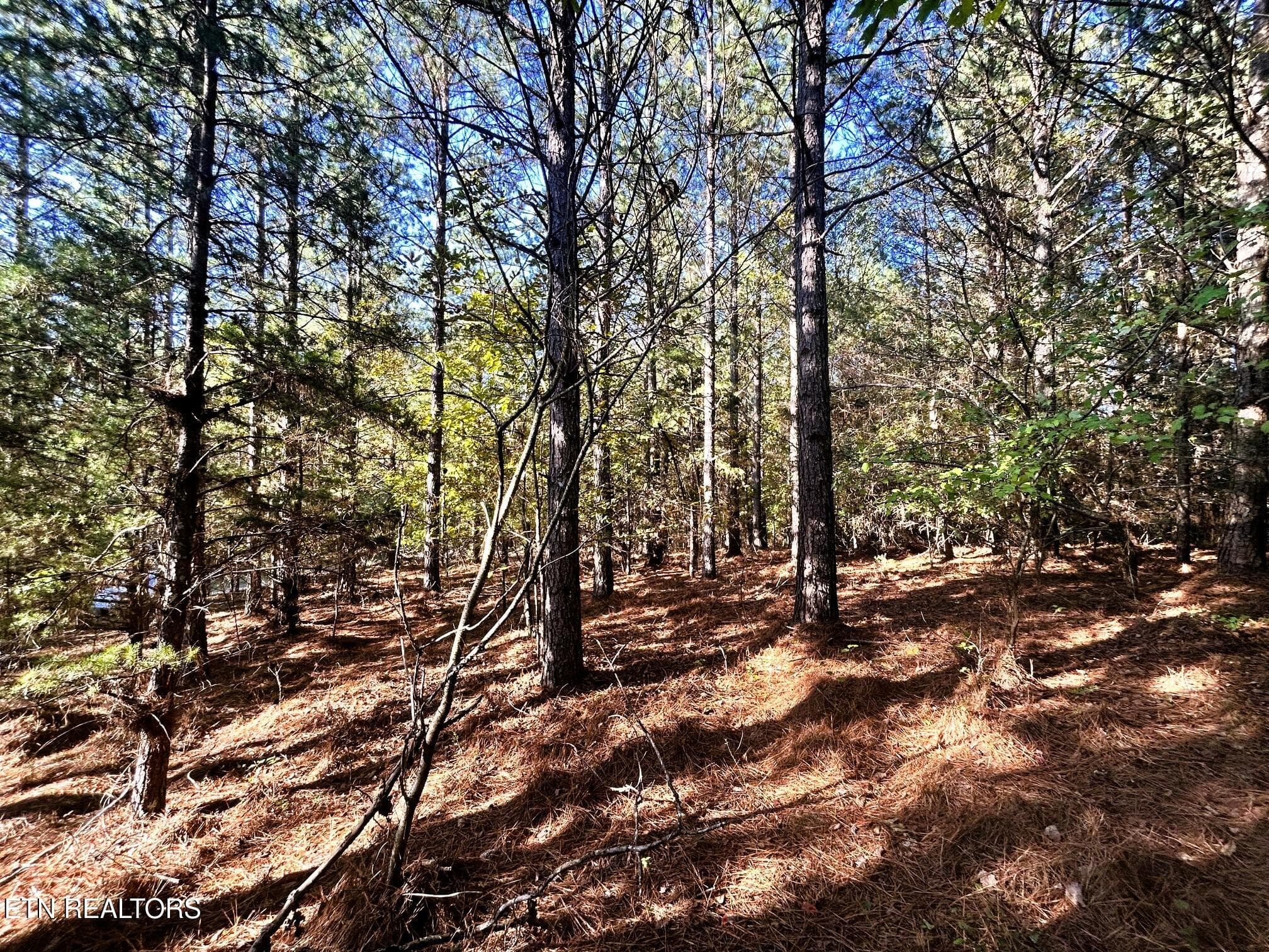 15C 2 17 - 47 acres Charles Rd, Decatur, TN 37322