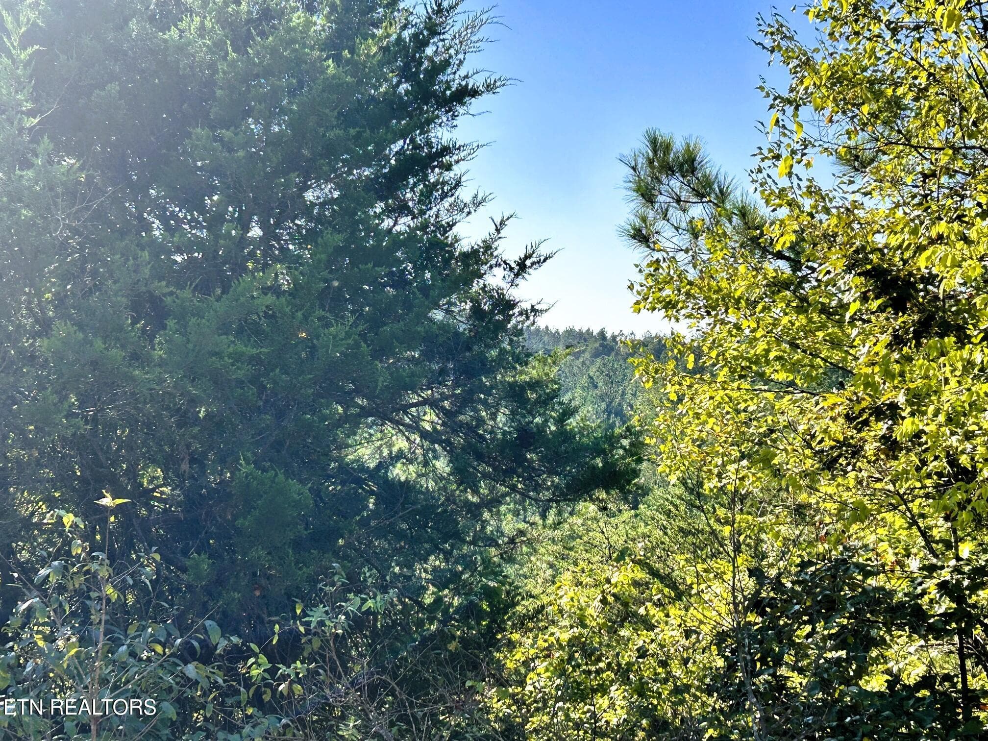 views - 47 acres Charles Rd, Decatur, TN 37322