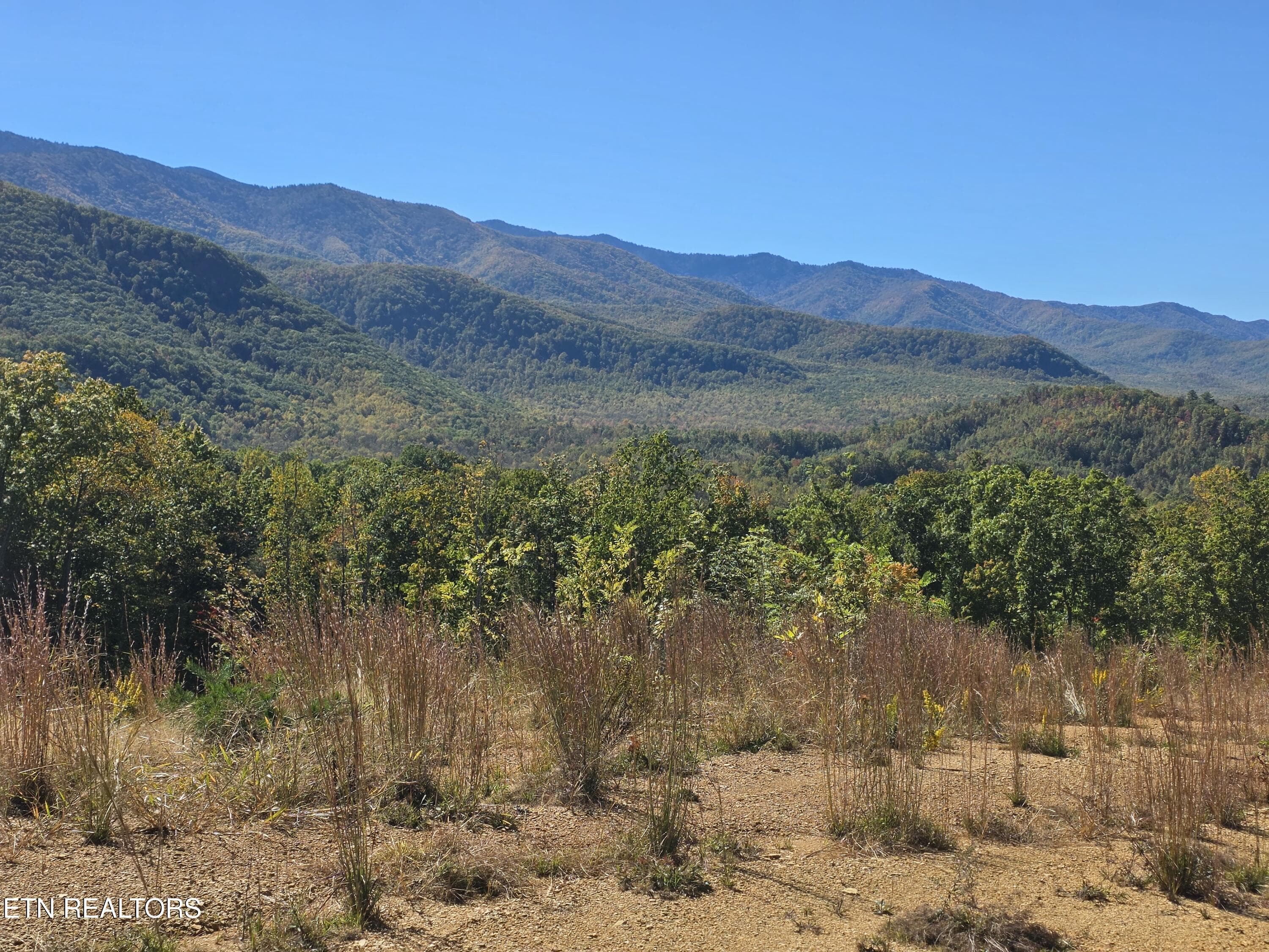 62114 - 433 Rdg Crk Way, Cosby, TN 37722