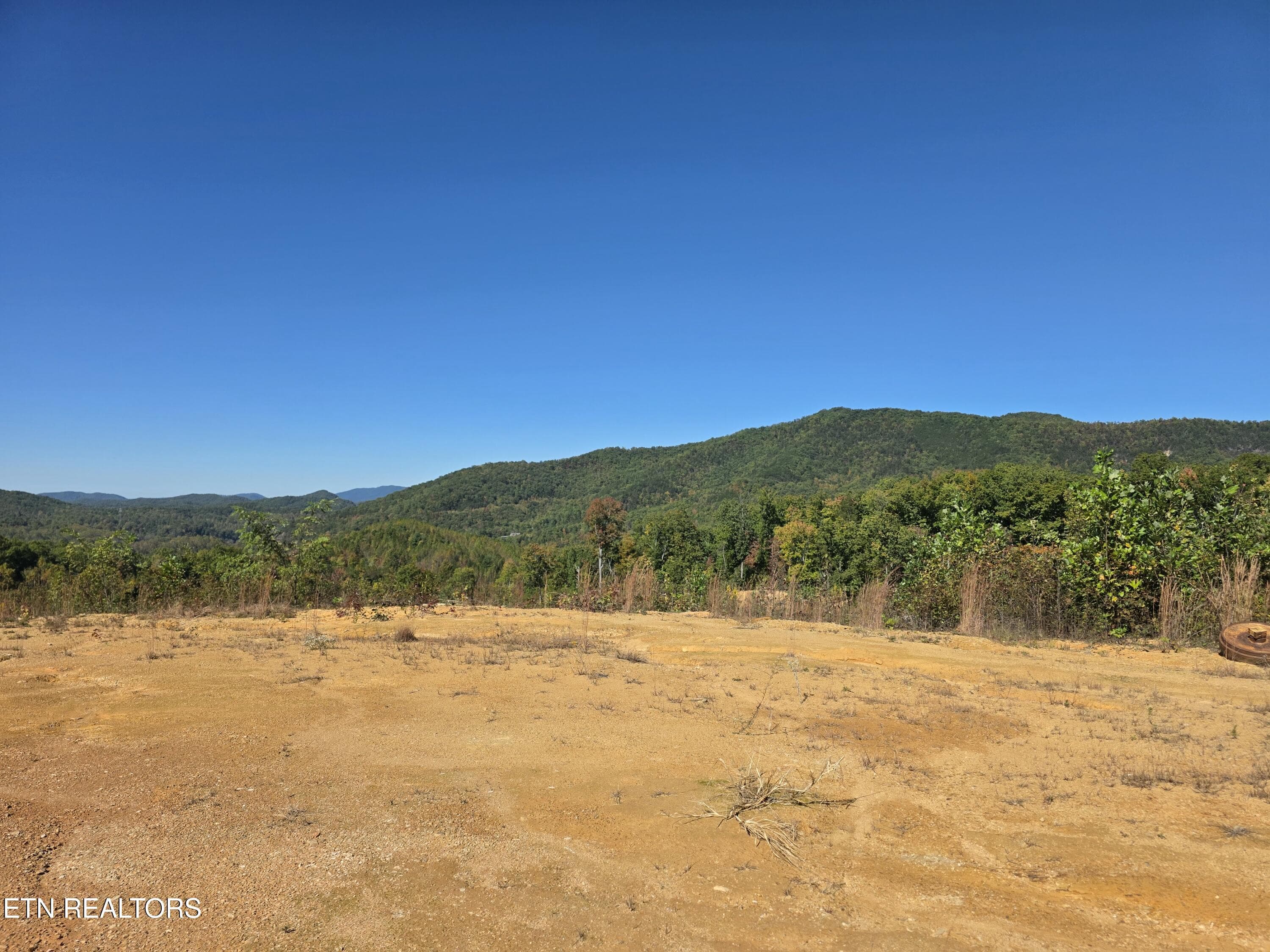 62112 - 433 Rdg Crk Way, Cosby, TN 37722