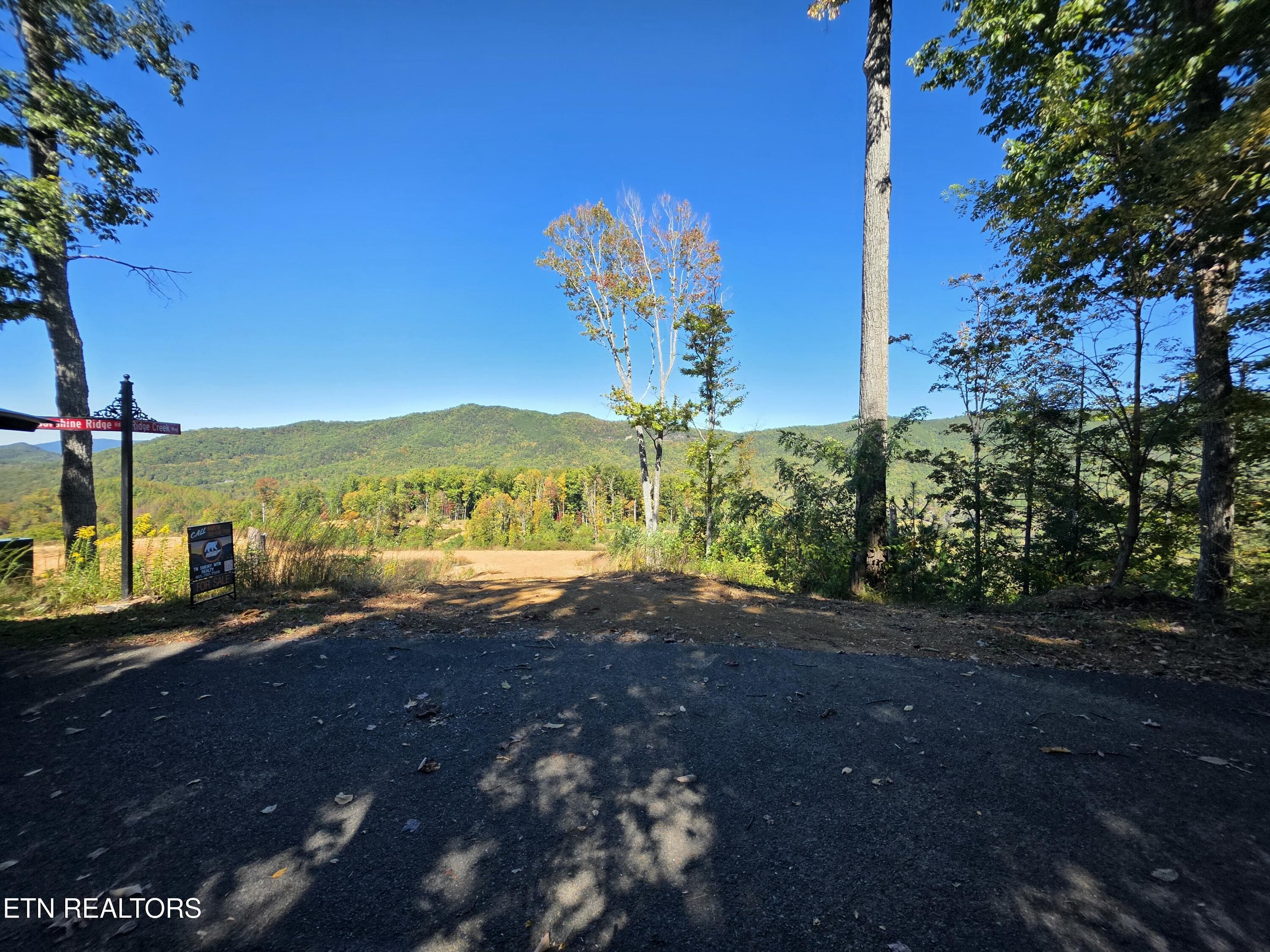 62097 - 433 Rdg Crk Way, Cosby, TN 37722