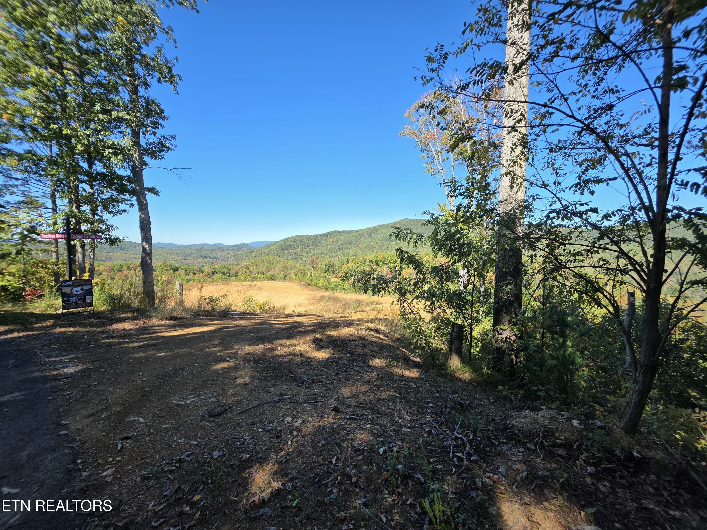 62098 - 433 Rdg Crk Way, Cosby, TN 37722