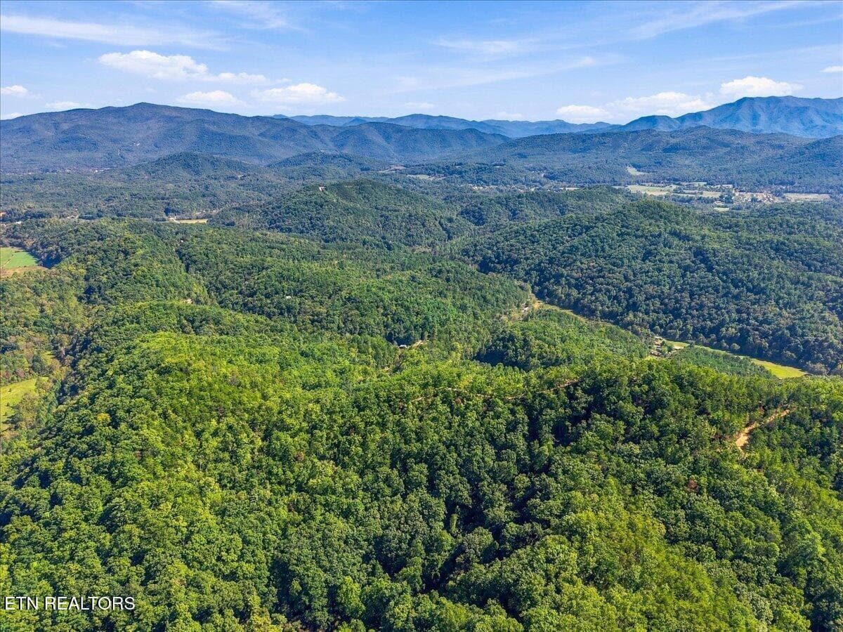 088-462 Middle Creek Rd 88 - 462 Middle Creek Rd, Cosby, TN 37722