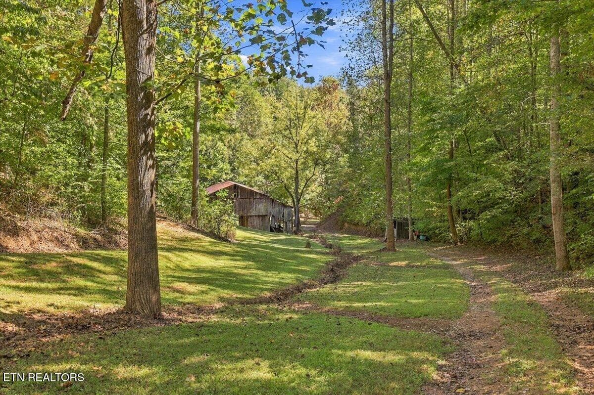 132-462 Middle Creek Rd 132 - 462 Middle Creek Rd, Cosby, TN 37722