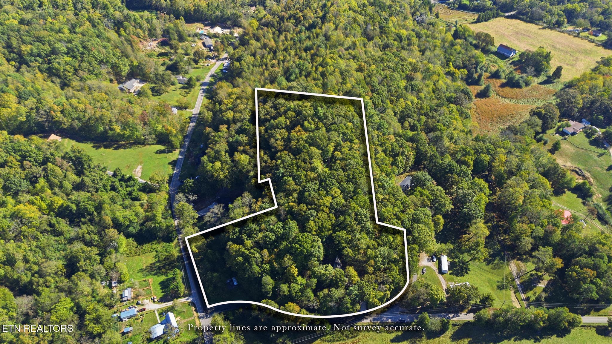 DJI_0084-Edit - 115 Suddath Rd, Harriman, TN 37748