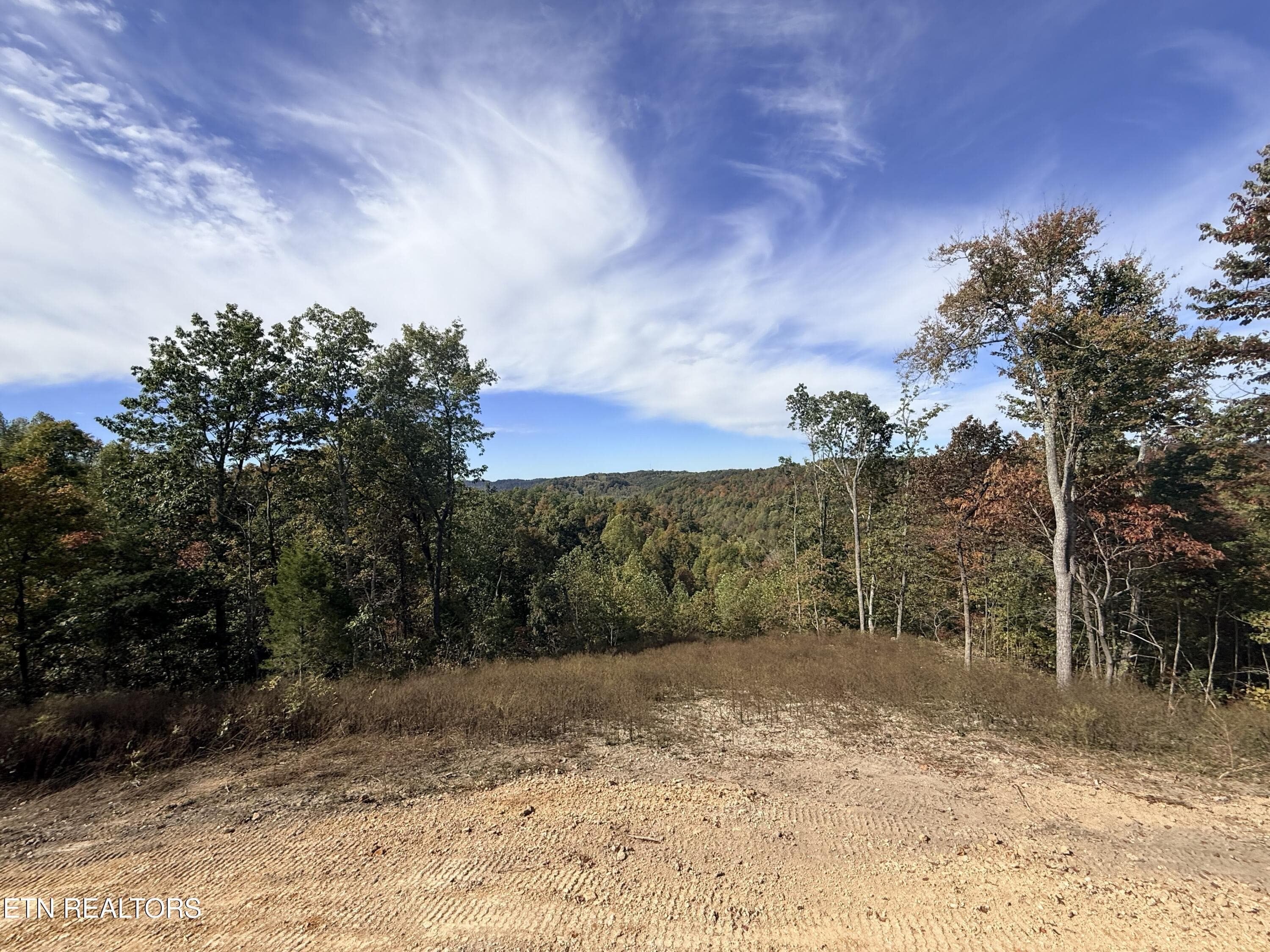 IMG_3646 - 4575 Upper Crab Rd, Jamestown, TN 38556