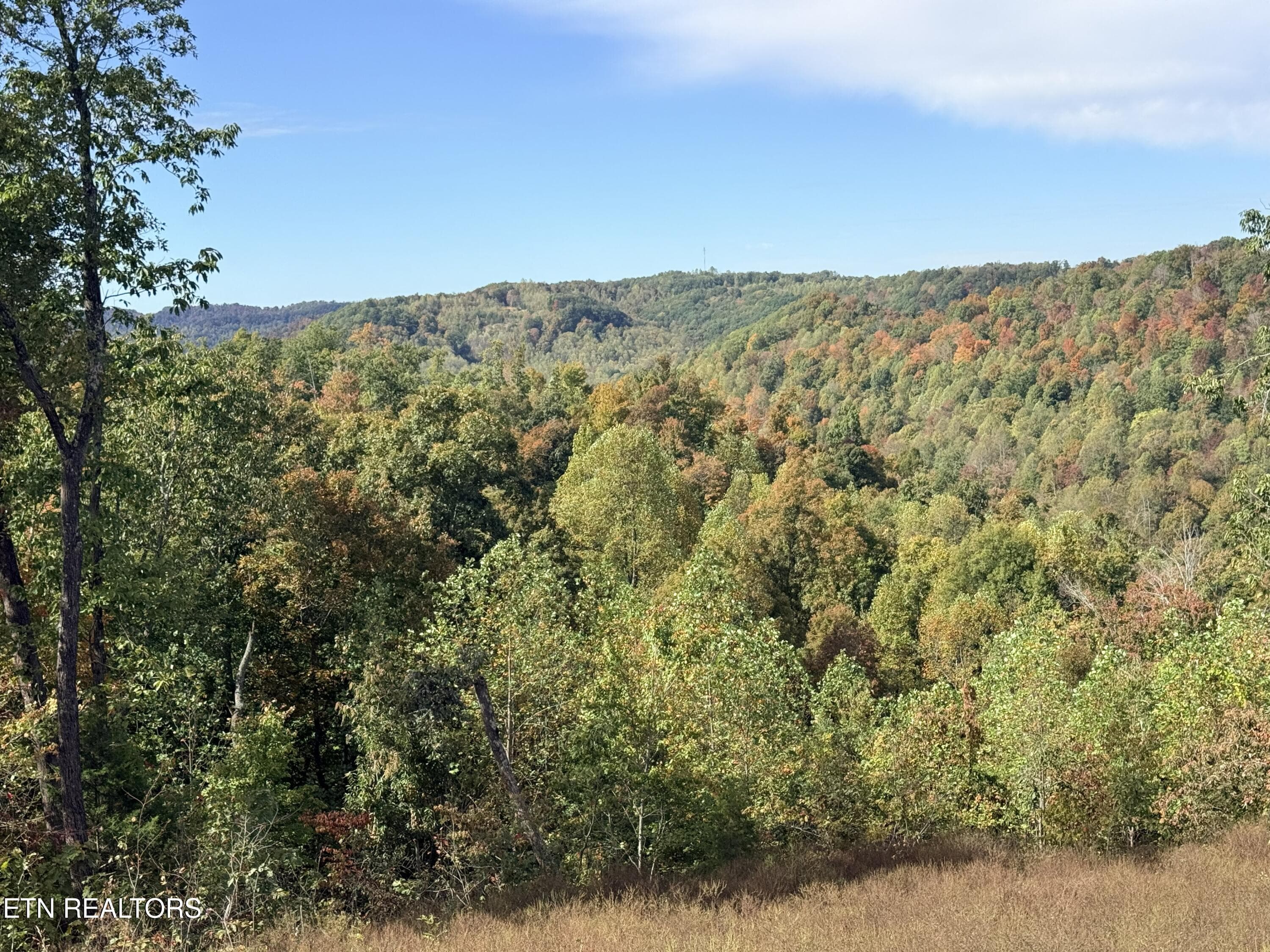 IMG_3647 - 4575 Upper Crab Rd, Jamestown, TN 38556