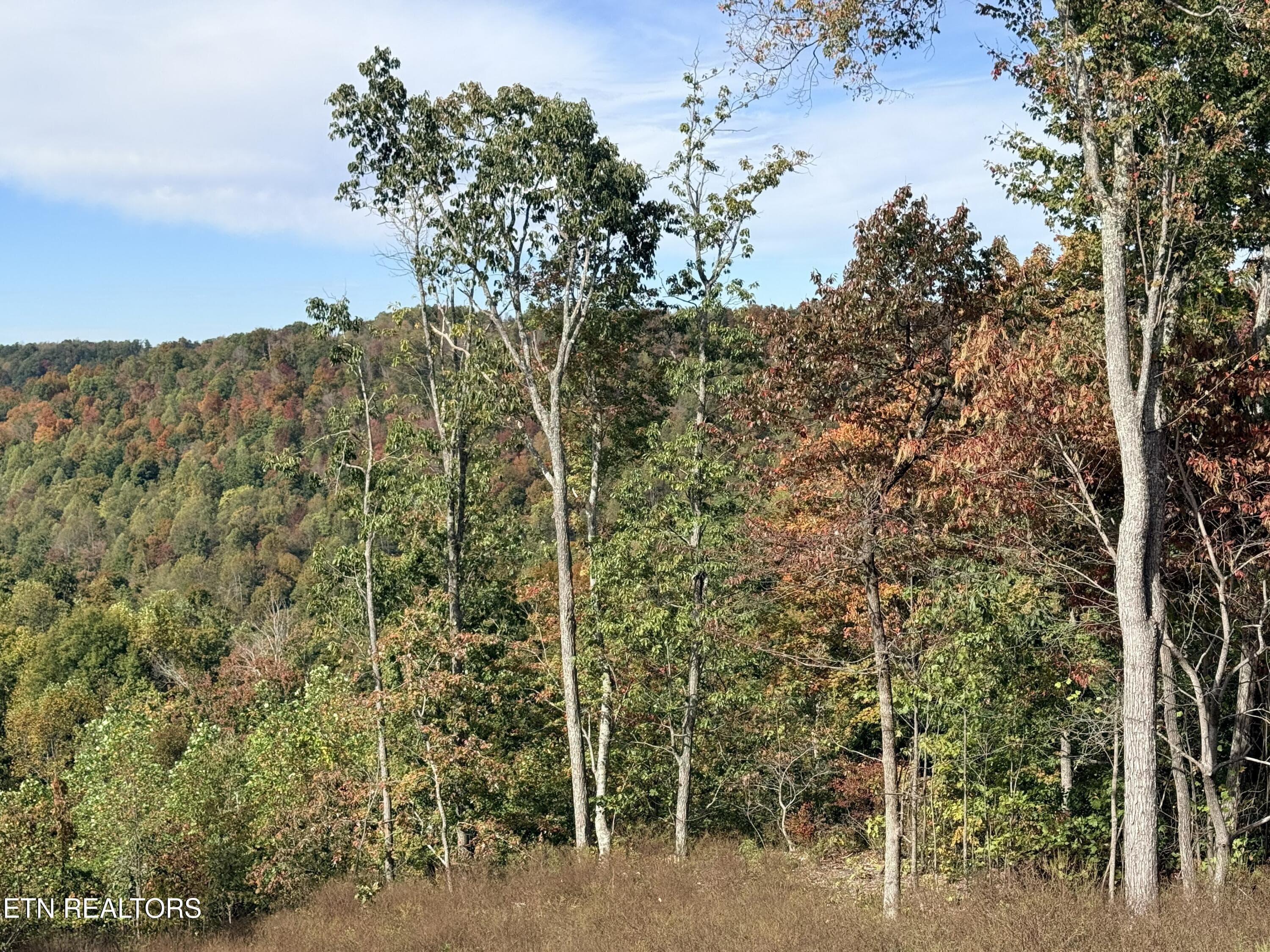 IMG_3648 - 4575 Upper Crab Rd, Jamestown, TN 38556