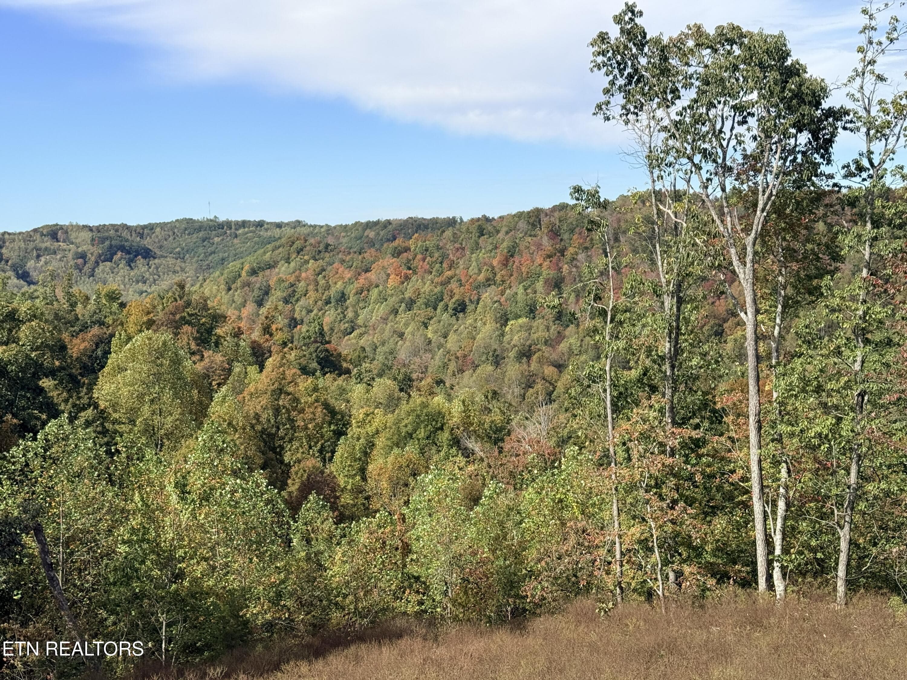 IMG_3649 - 4575 Upper Crab Rd, Jamestown, TN 38556