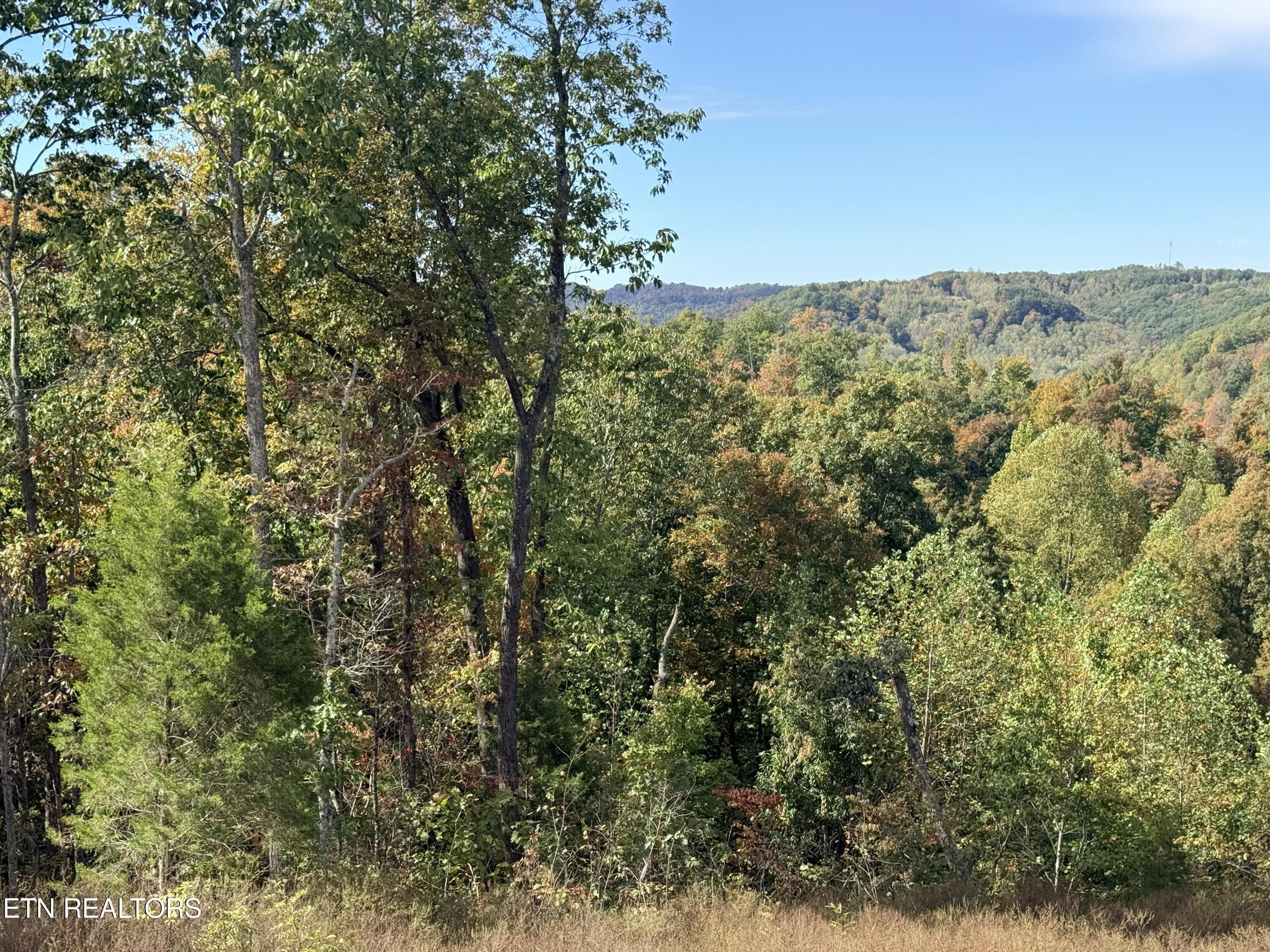 IMG_3650 - 4575 Upper Crab Rd, Jamestown, TN 38556