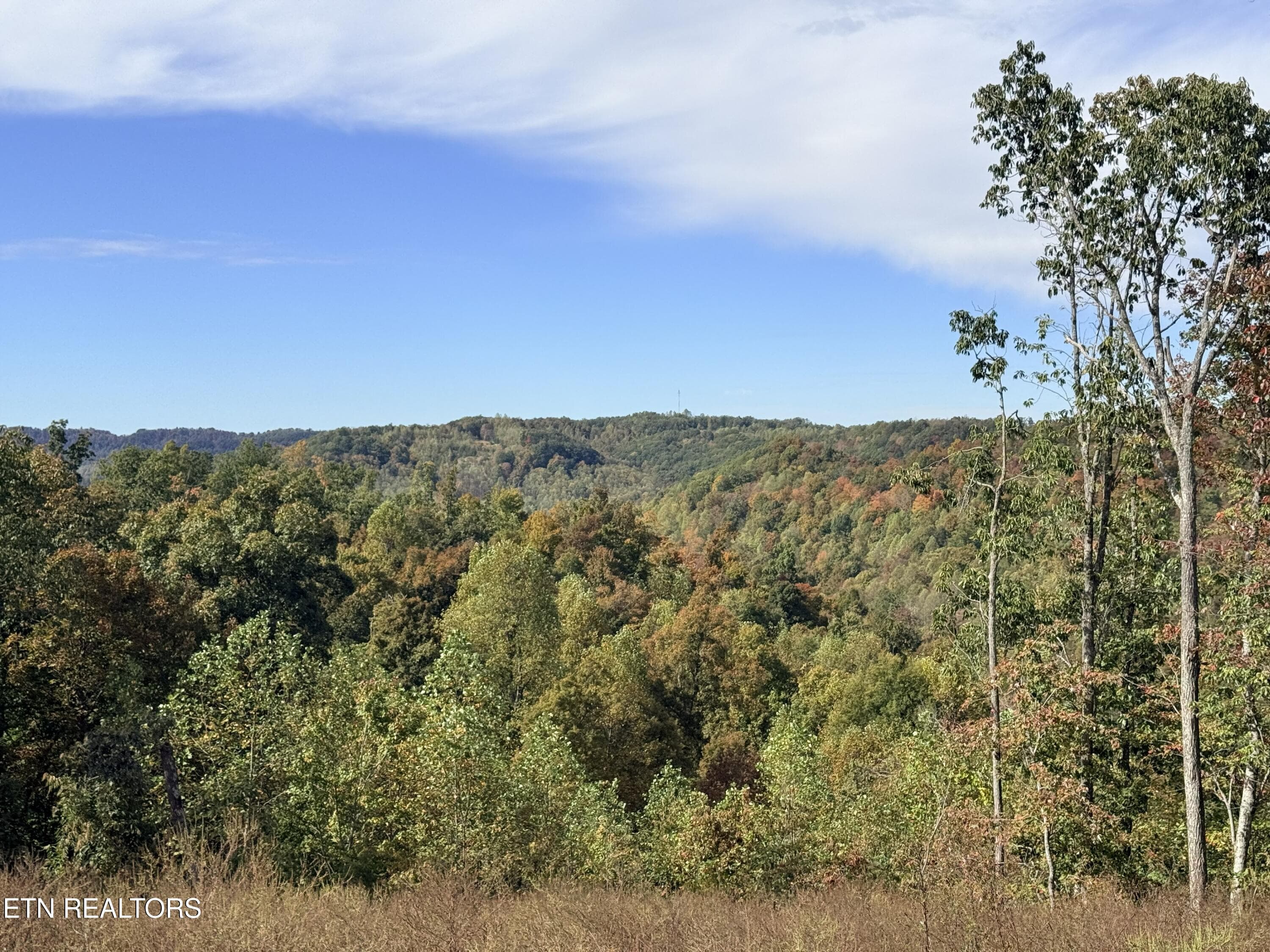 IMG_3651 - 4575 Upper Crab Rd, Jamestown, TN 38556