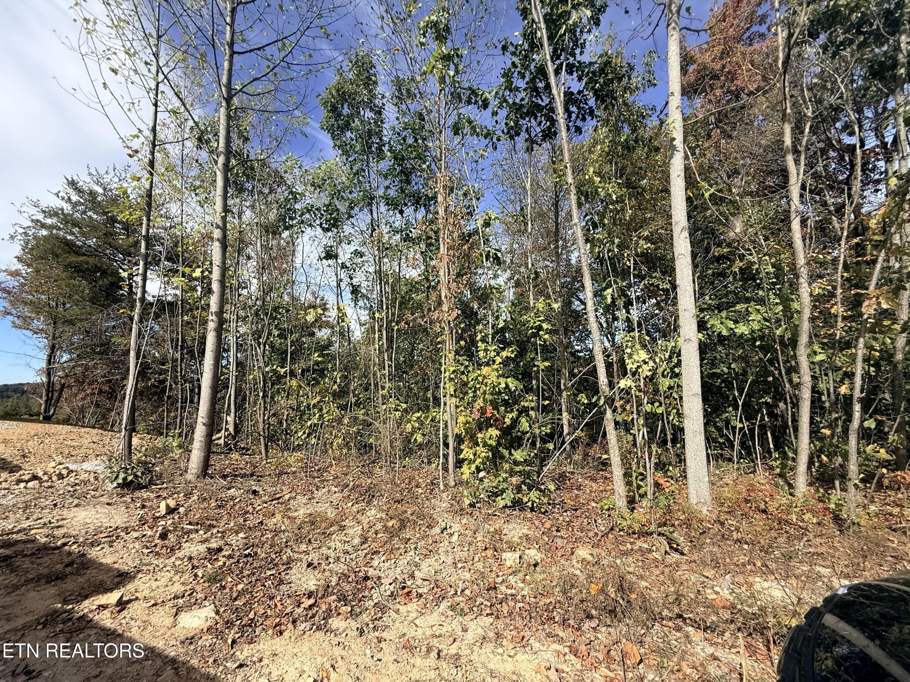 IMG_3676 - 4575 Upper Crab Rd, Jamestown, TN 38556