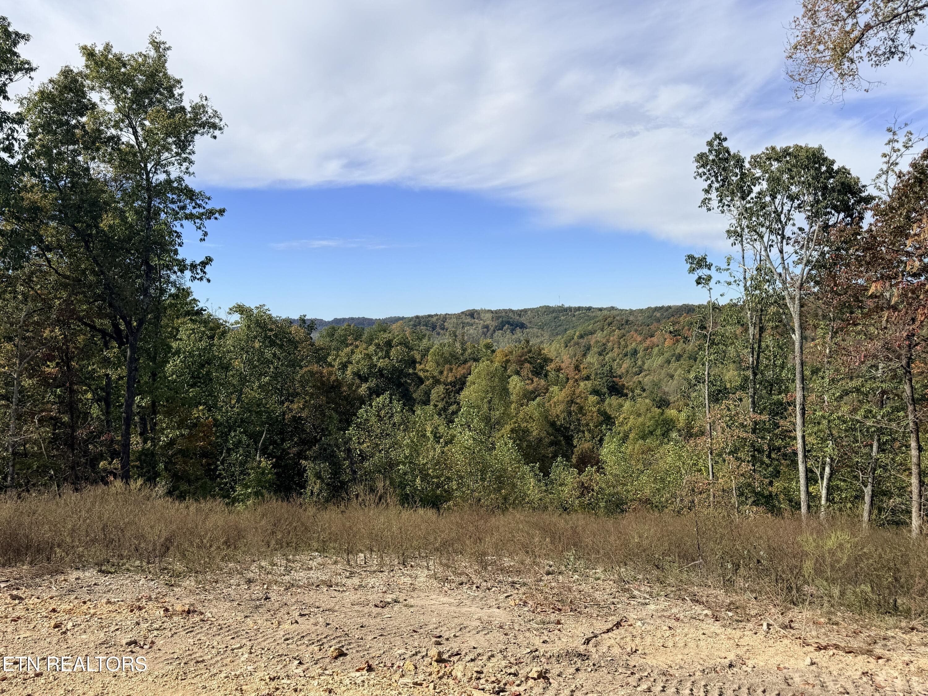 view - 4575 Upper Crab Rd, Jamestown, TN 38556