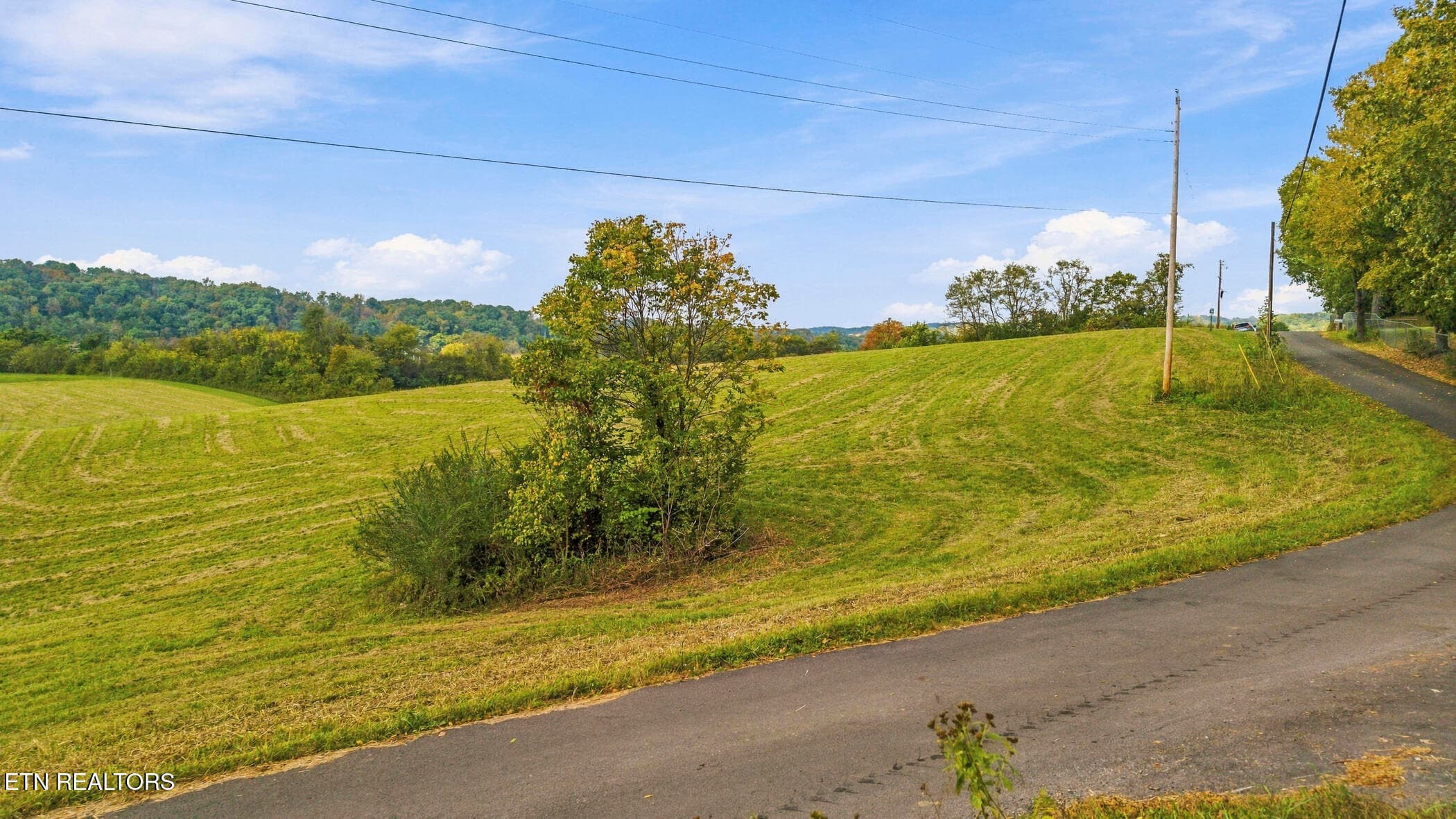 dji_20261016125429_0579_d - Lot 5 Bluff Rd, Parrottsville, TN 37843