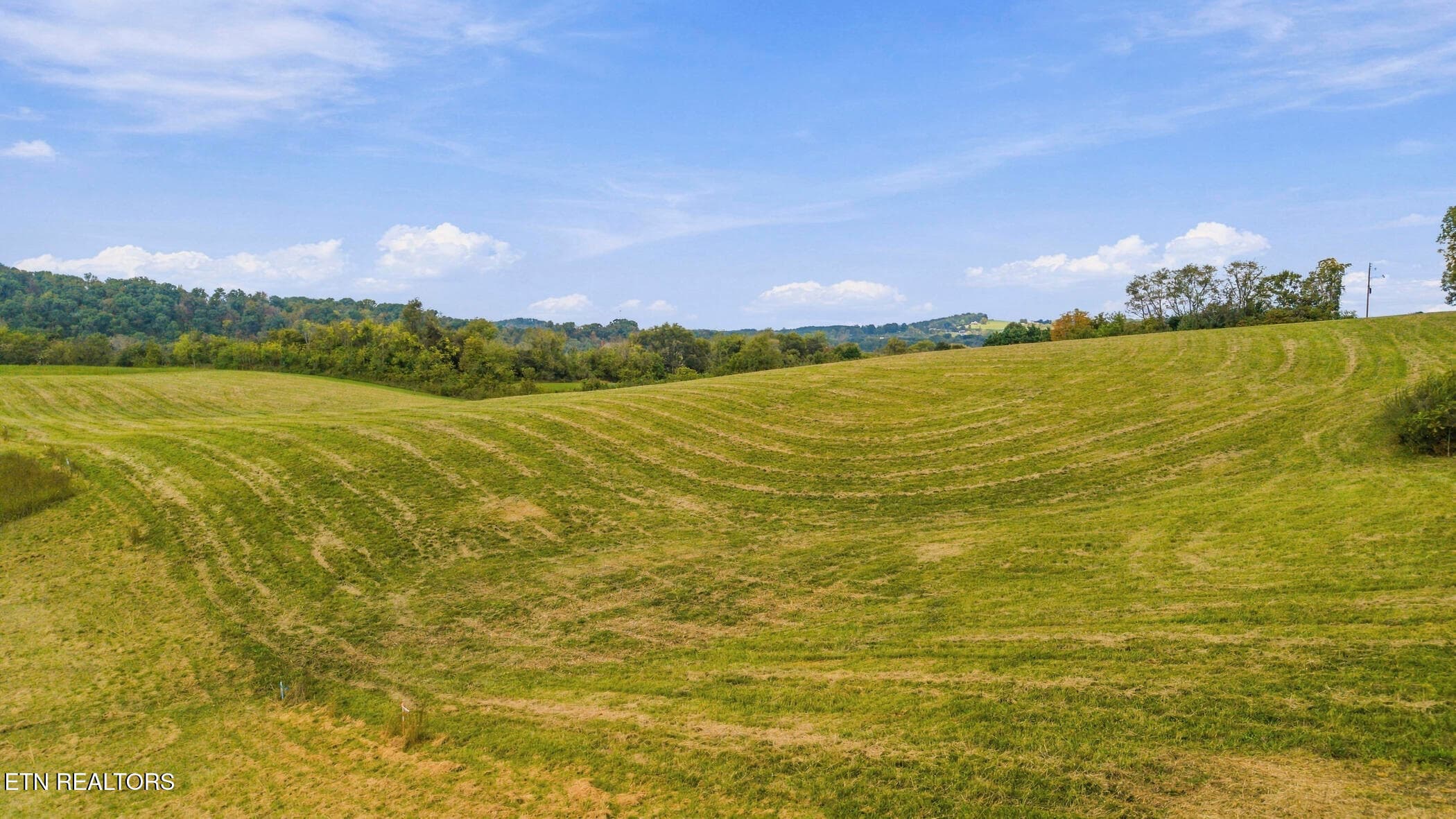 dji_20261016125518_0586_d - Lot 5 Bluff Rd, Parrottsville, TN 37843