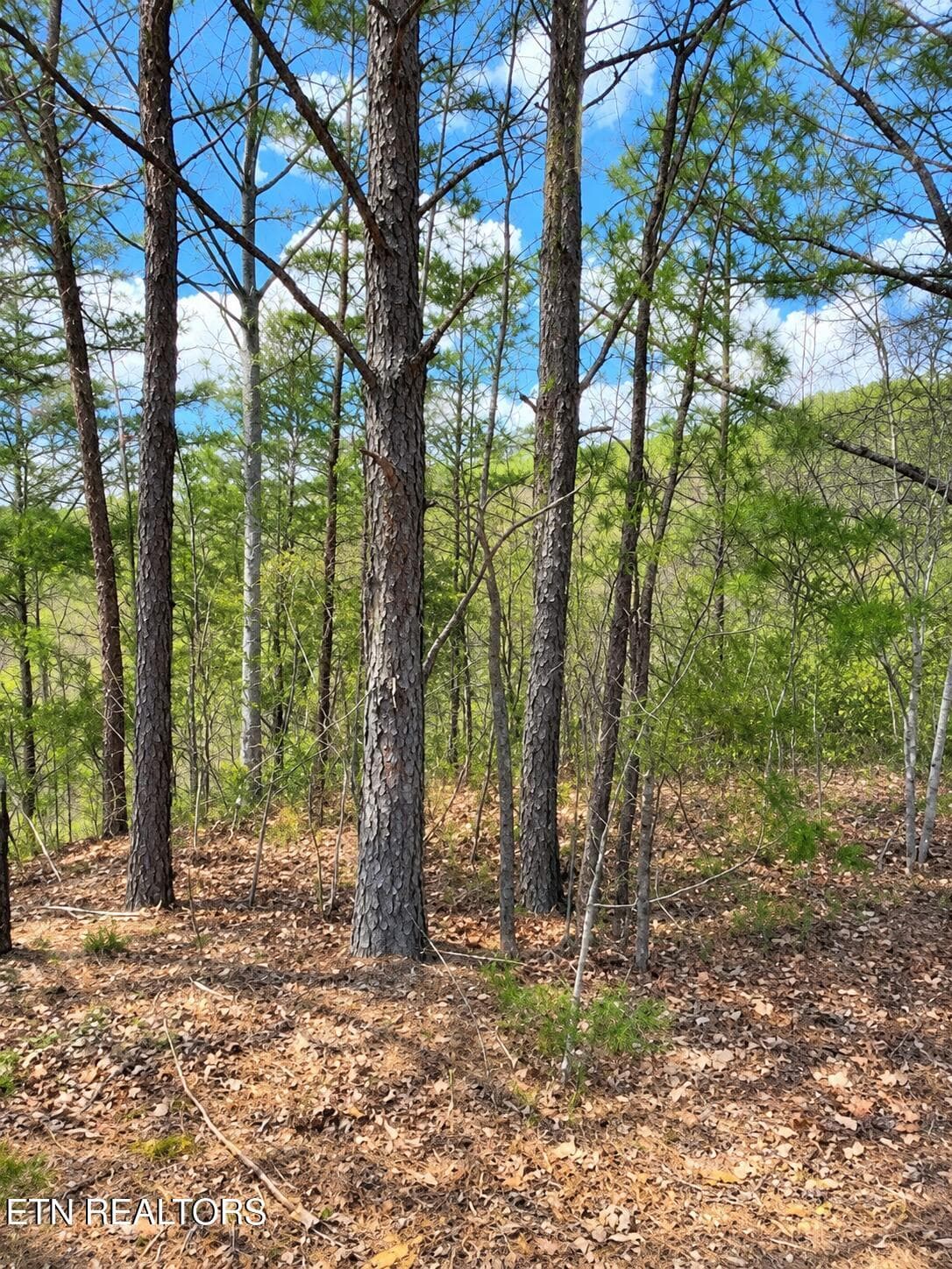 Lot 90 Mountain Blvd, Sevierville, TN 37876