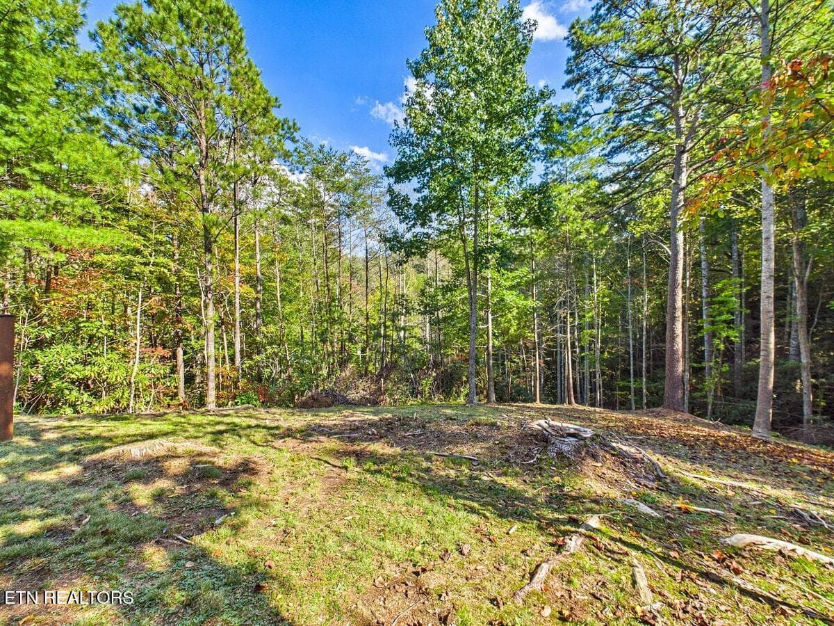 028-028 - 142 Rivendell Lane, Tellico Plains, TN 37385