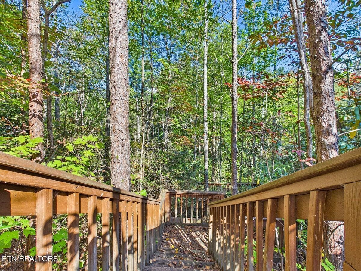 029-029 - 142 Rivendell Lane, Tellico Plains, TN 37385