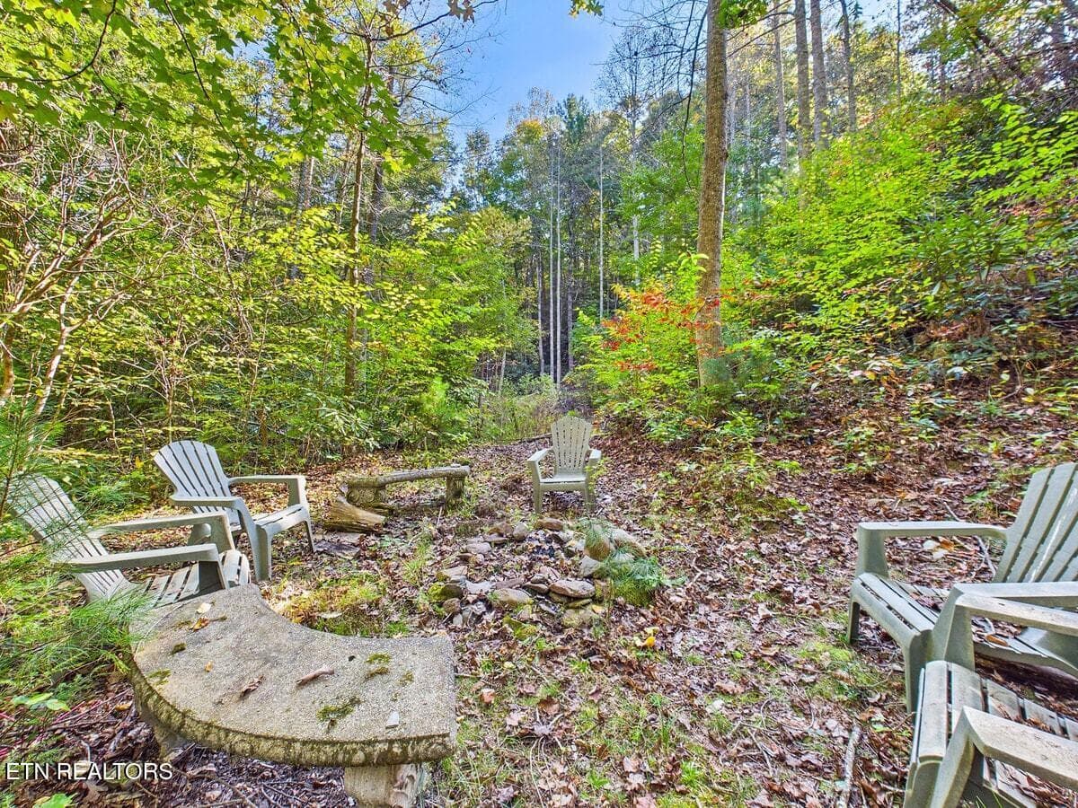 030-030 - 142 Rivendell Lane, Tellico Plains, TN 37385
