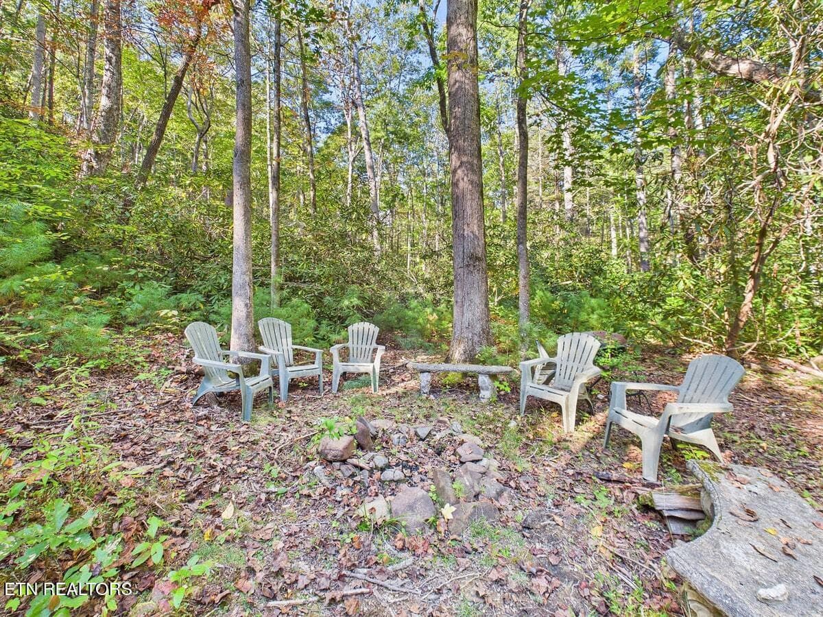 031-031 - 142 Rivendell Lane, Tellico Plains, TN 37385