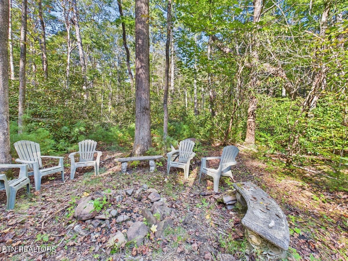 032-032 - 142 Rivendell Lane, Tellico Plains, TN 37385