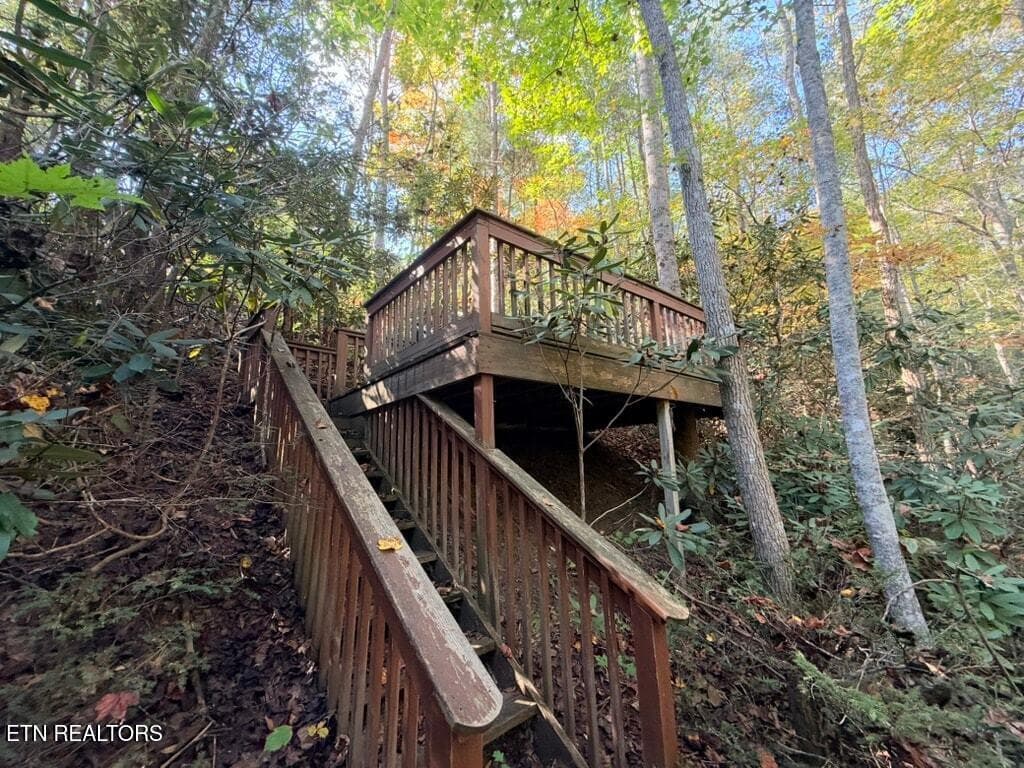 047-9C70759F-FD89-4588-BD21-EE4CF0E8D4ED - 142 Rivendell Lane, Tellico Plains, TN 37385
