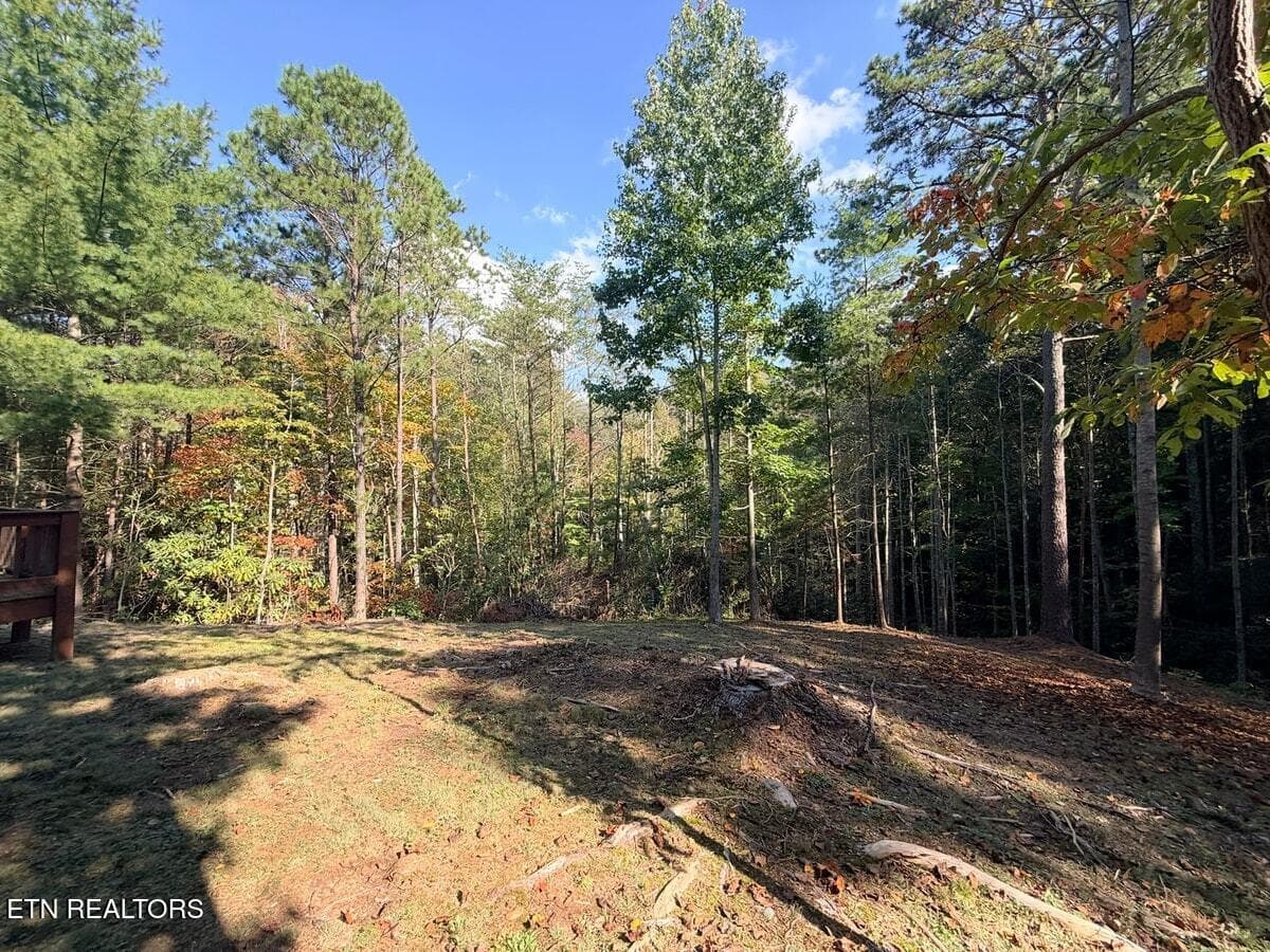 049-580DB5F6-4E30-462F-AD0F-4679C17CF563 - 142 Rivendell Lane, Tellico Plains, TN 37385