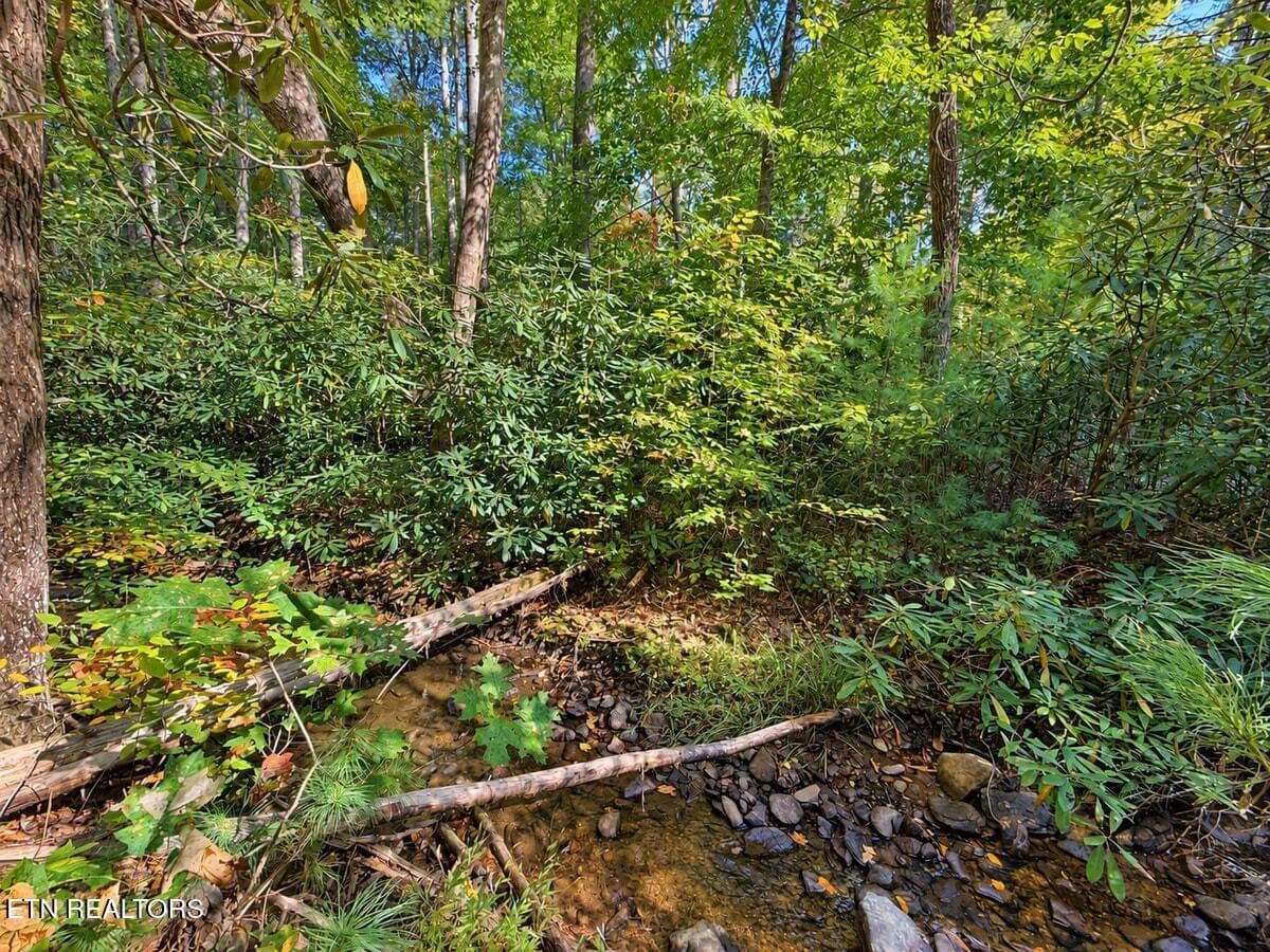 050-creek1 - 142 Rivendell Lane, Tellico Plains, TN 37385