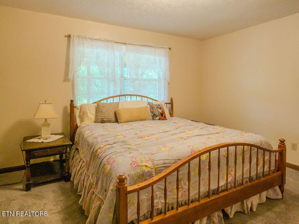 1000018308 - 275 Spring Creek Rd, Delano, TN 37325