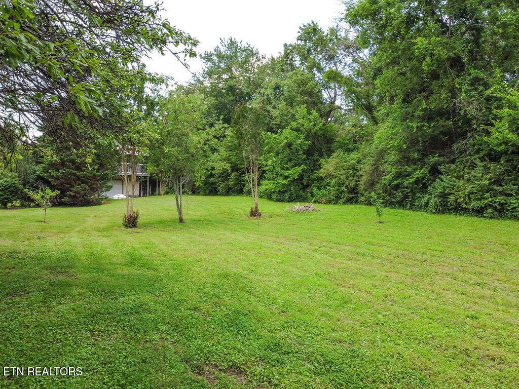 1000018298 - 275 Spring Creek Rd, Delano, TN 37325